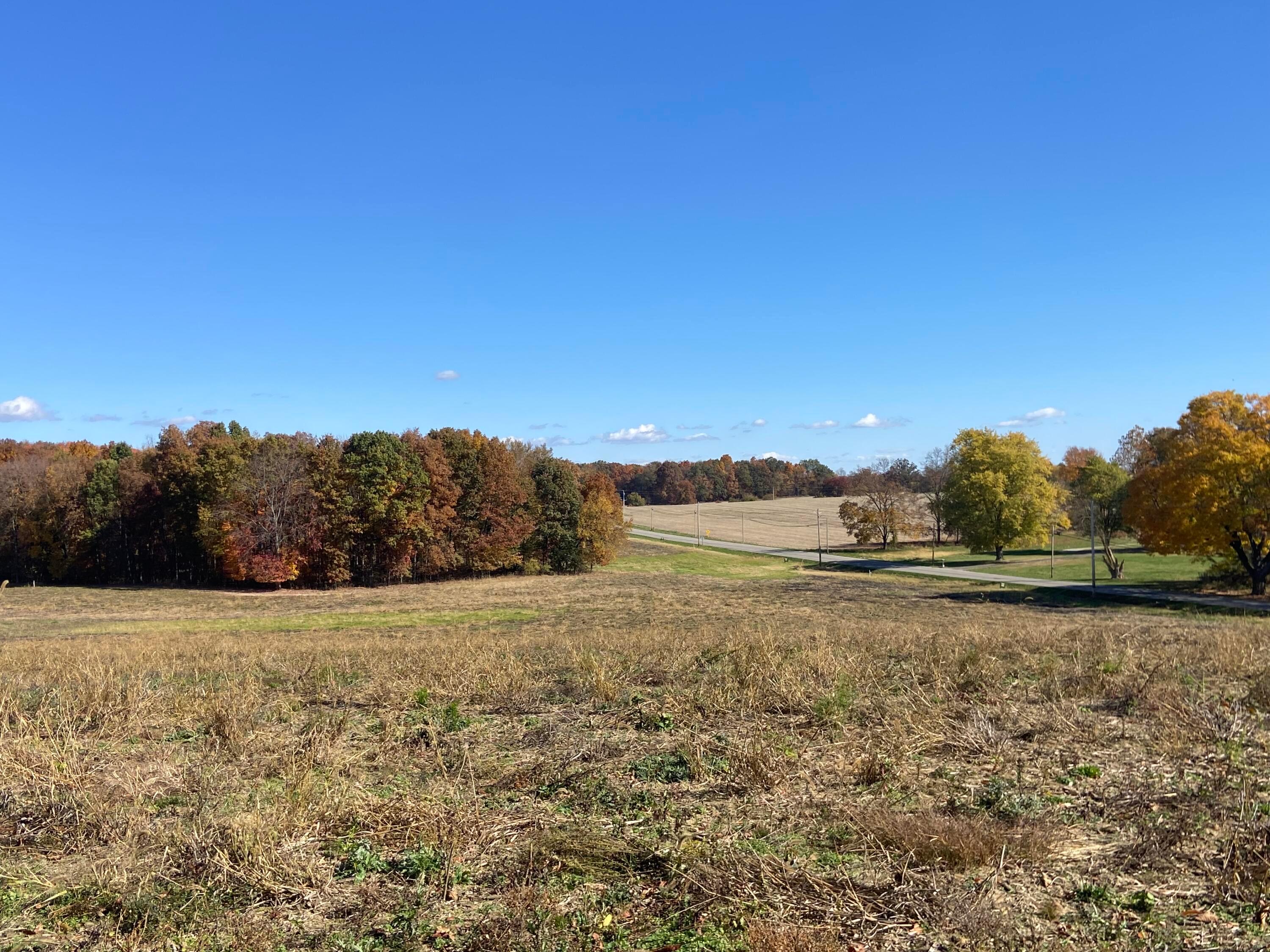 0 Dog Hollow Road, Lot #5 Property Photo 31