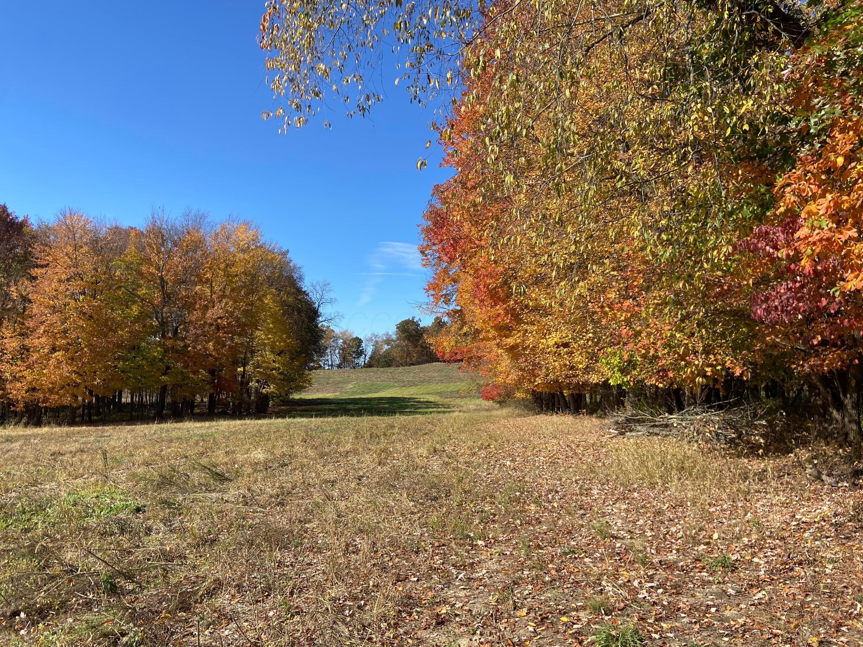 0 Dog Hollow Road, Lot #7 Property Photo 25