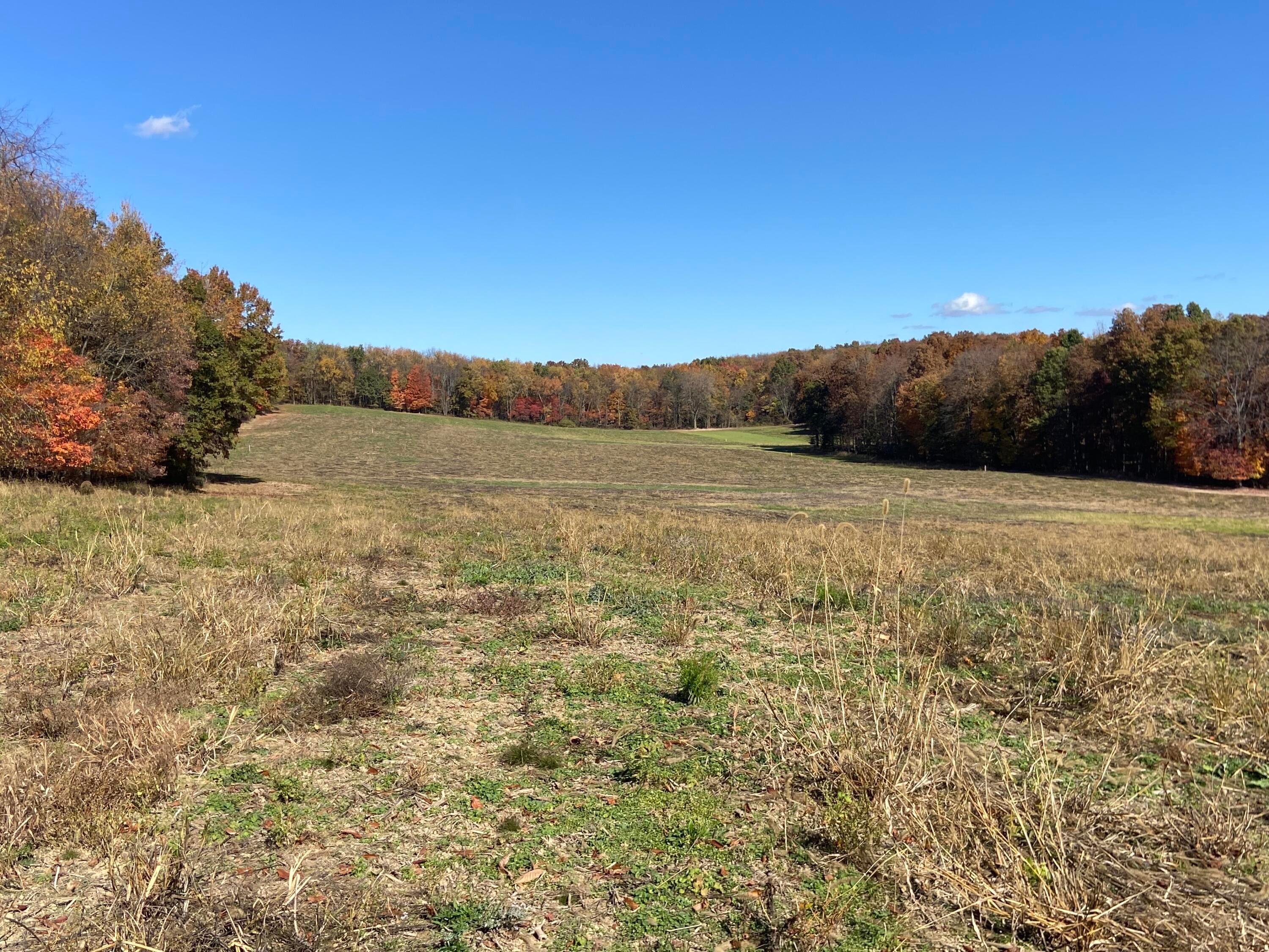 0 Dog Hollow Road, Lot #7 Property Photo 27