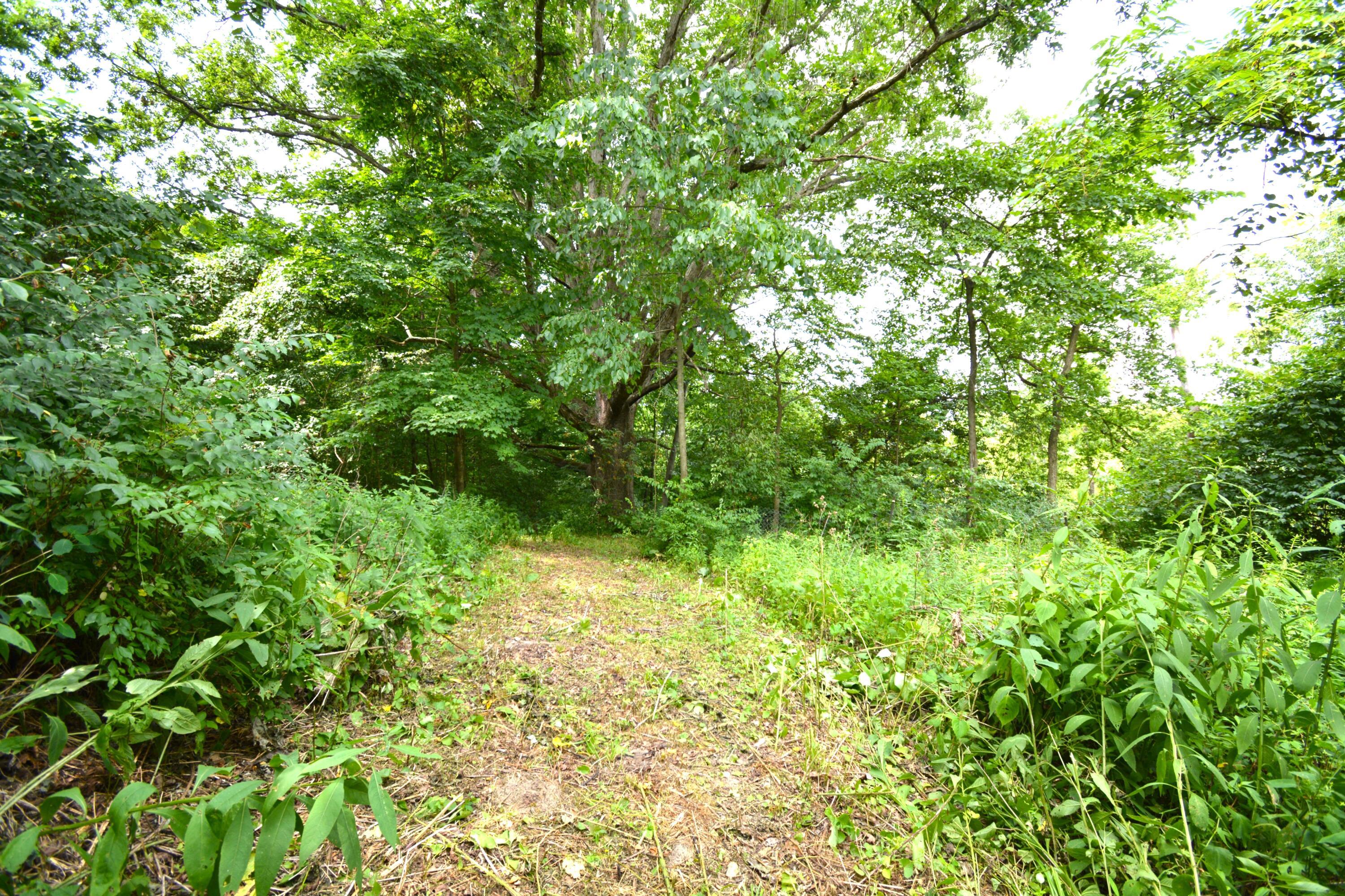 250 S Main Street Property Photo 18