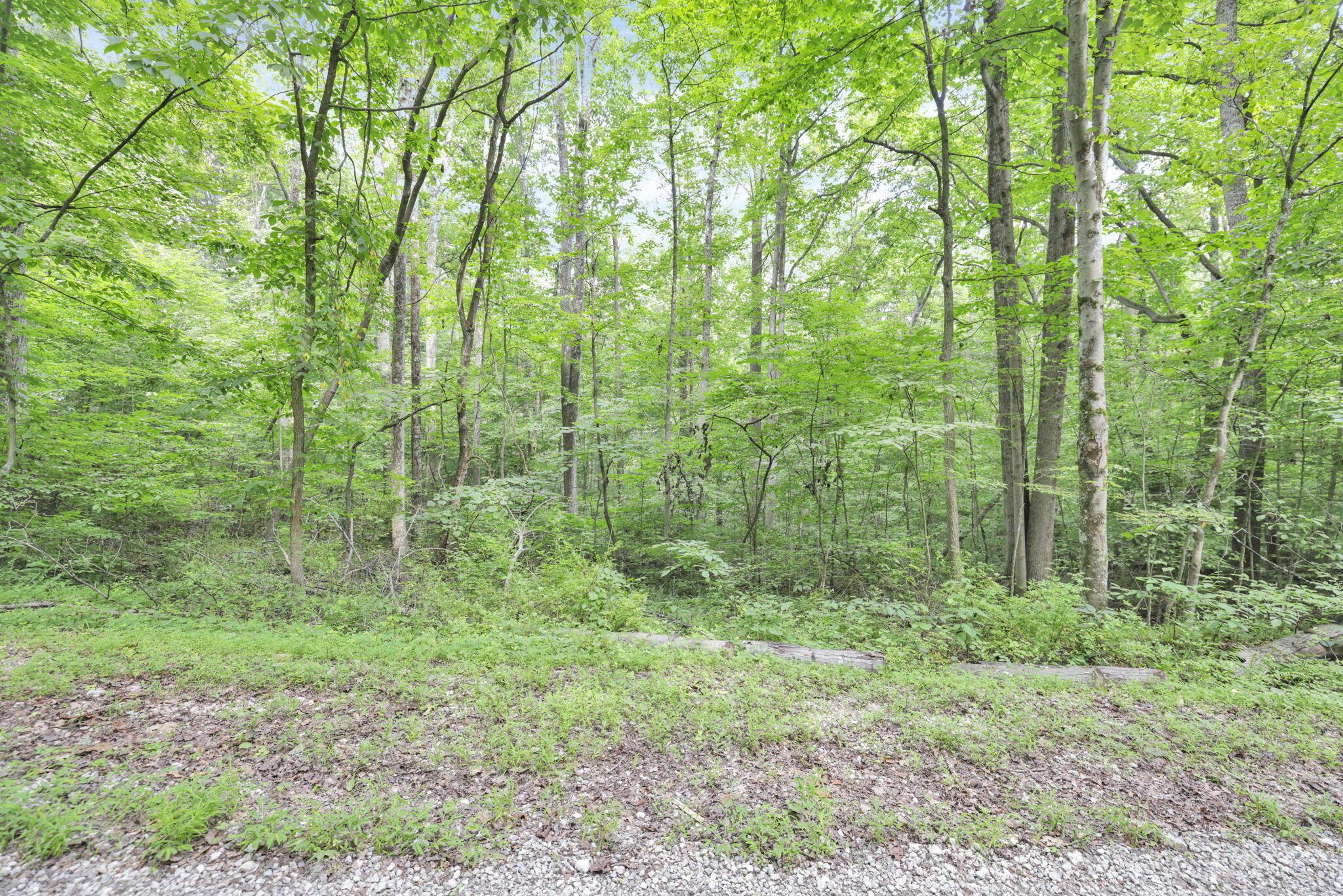 0 Thad Hall Road Property Photo 8