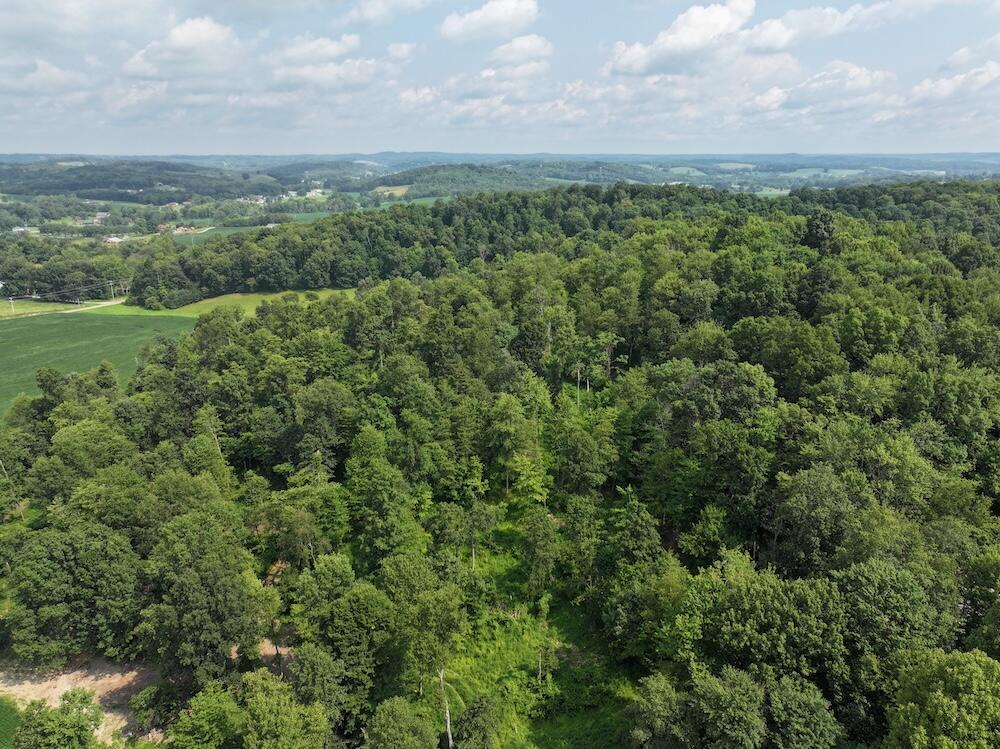 0 Briarcliff Road Property Photo 3