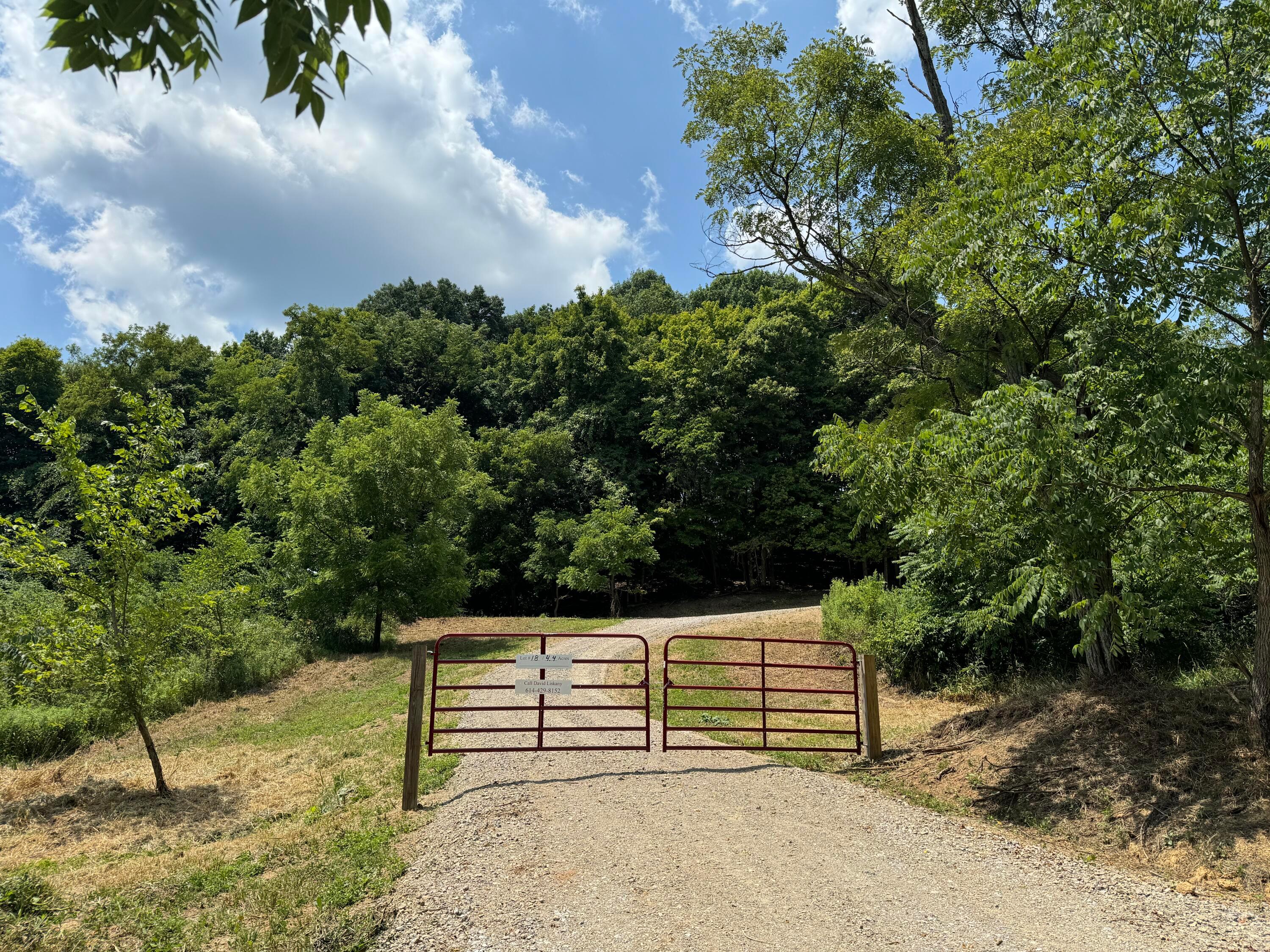 0 Sand Ridge Road, (tract 18 Albany Woods) Property Photo 1