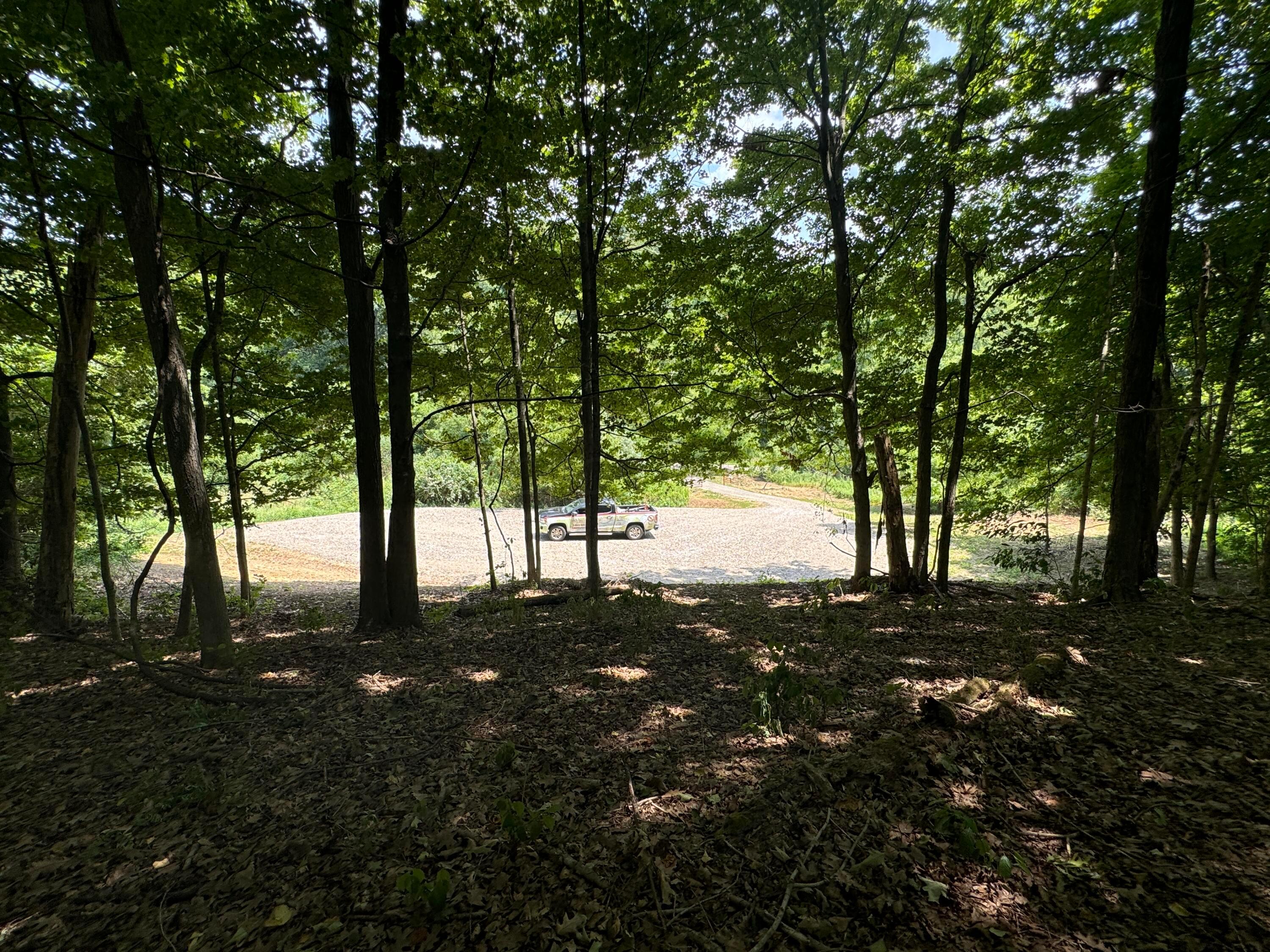 0 Sand Ridge Road, (tract 18 Albany Woods) Property Photo 3
