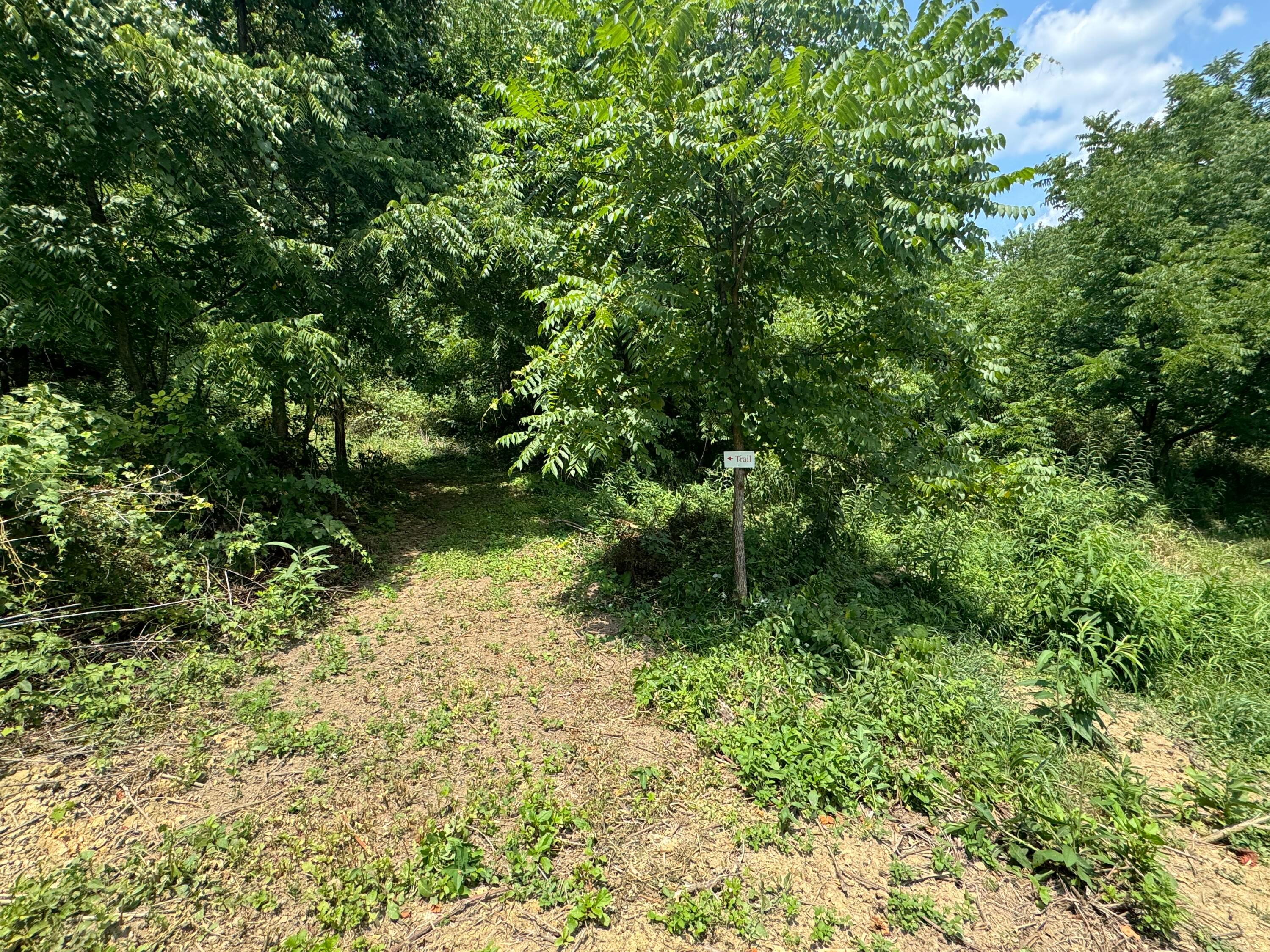 0 Sand Ridge Road, (tract 18 Albany Woods) Property Photo 9