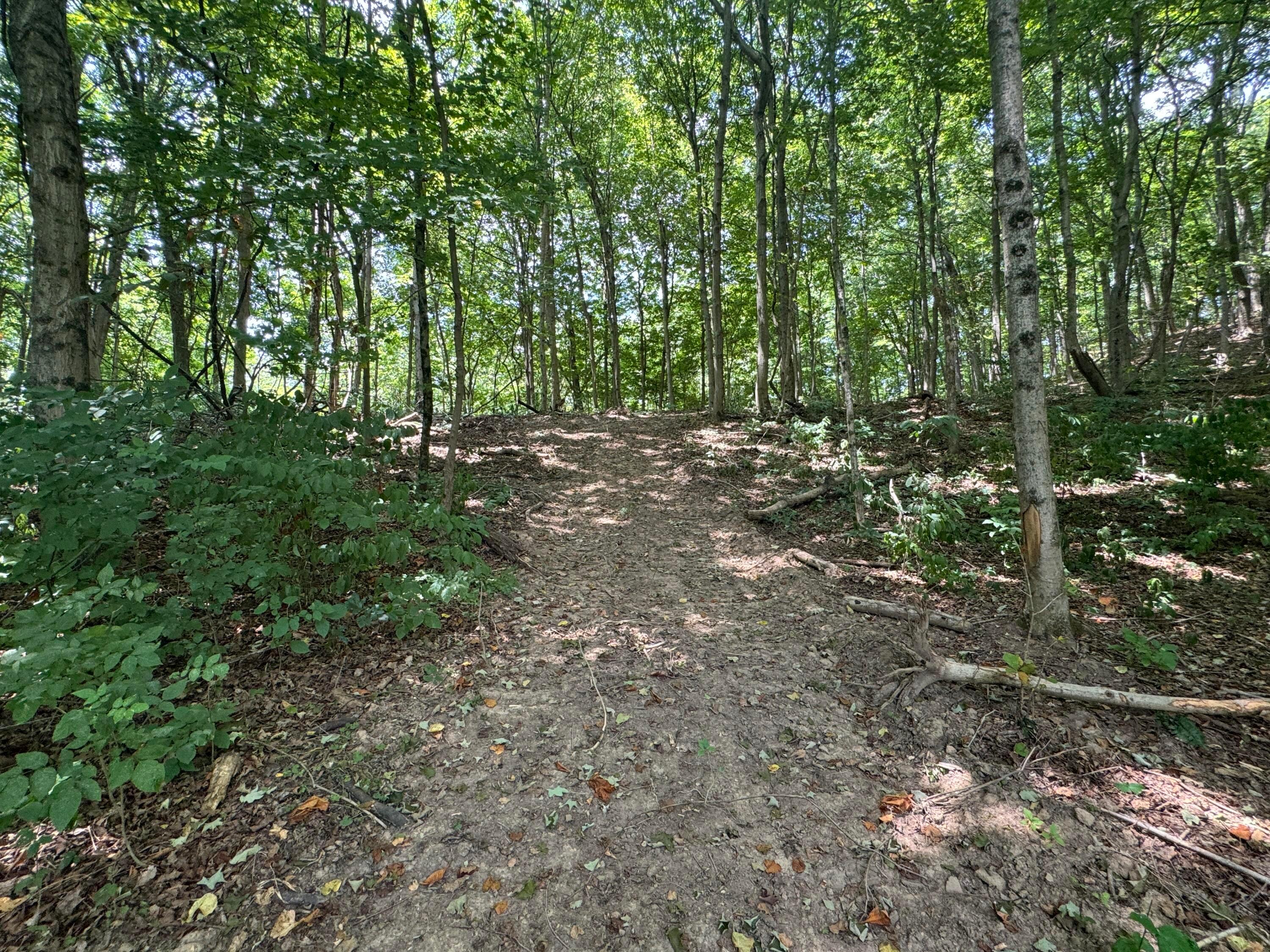 0 Sand Ridge Road, (tract 18 Albany Woods) Property Photo 12