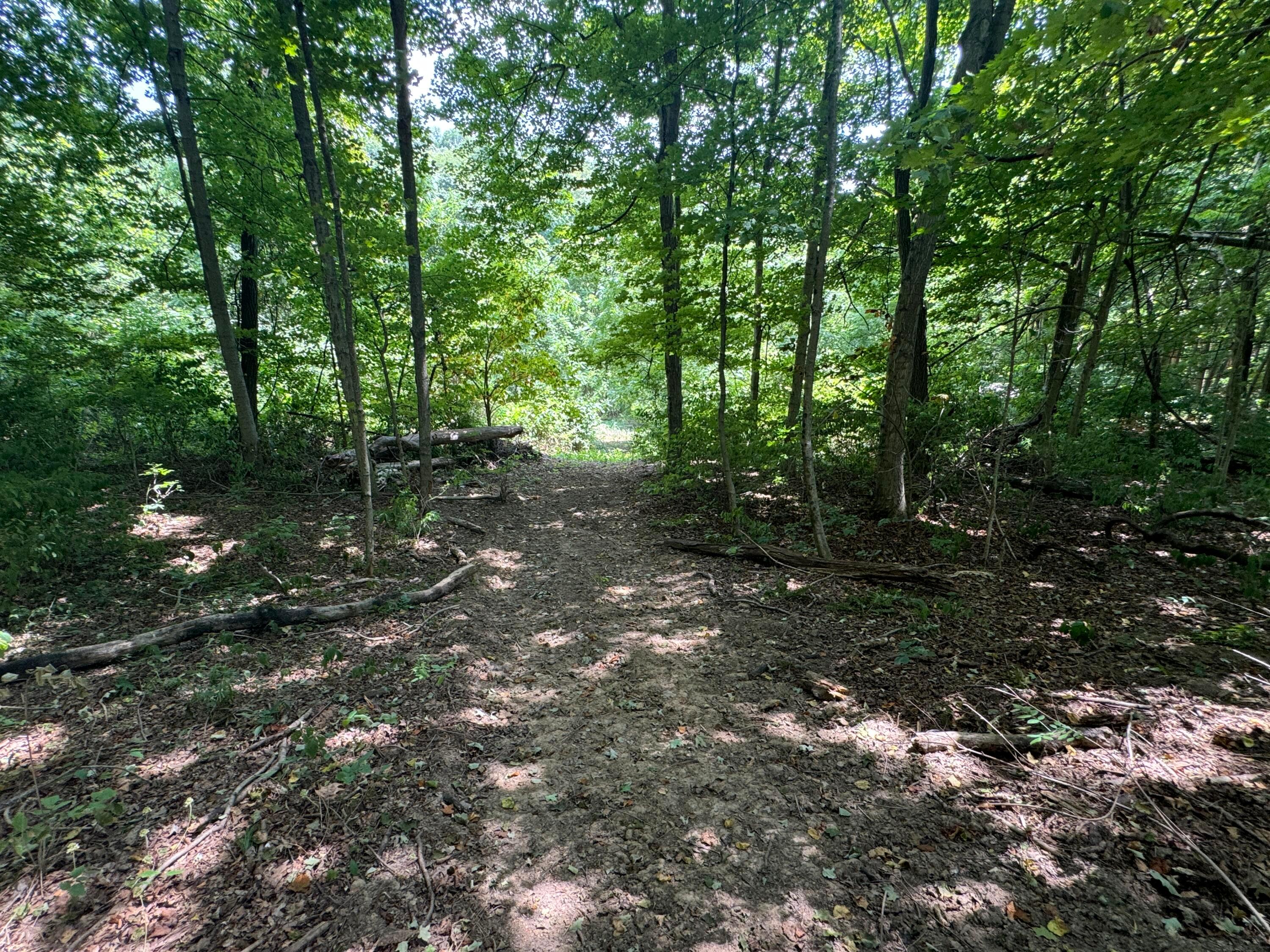 0 Sand Ridge Road, (tract 18 Albany Woods) Property Photo 13