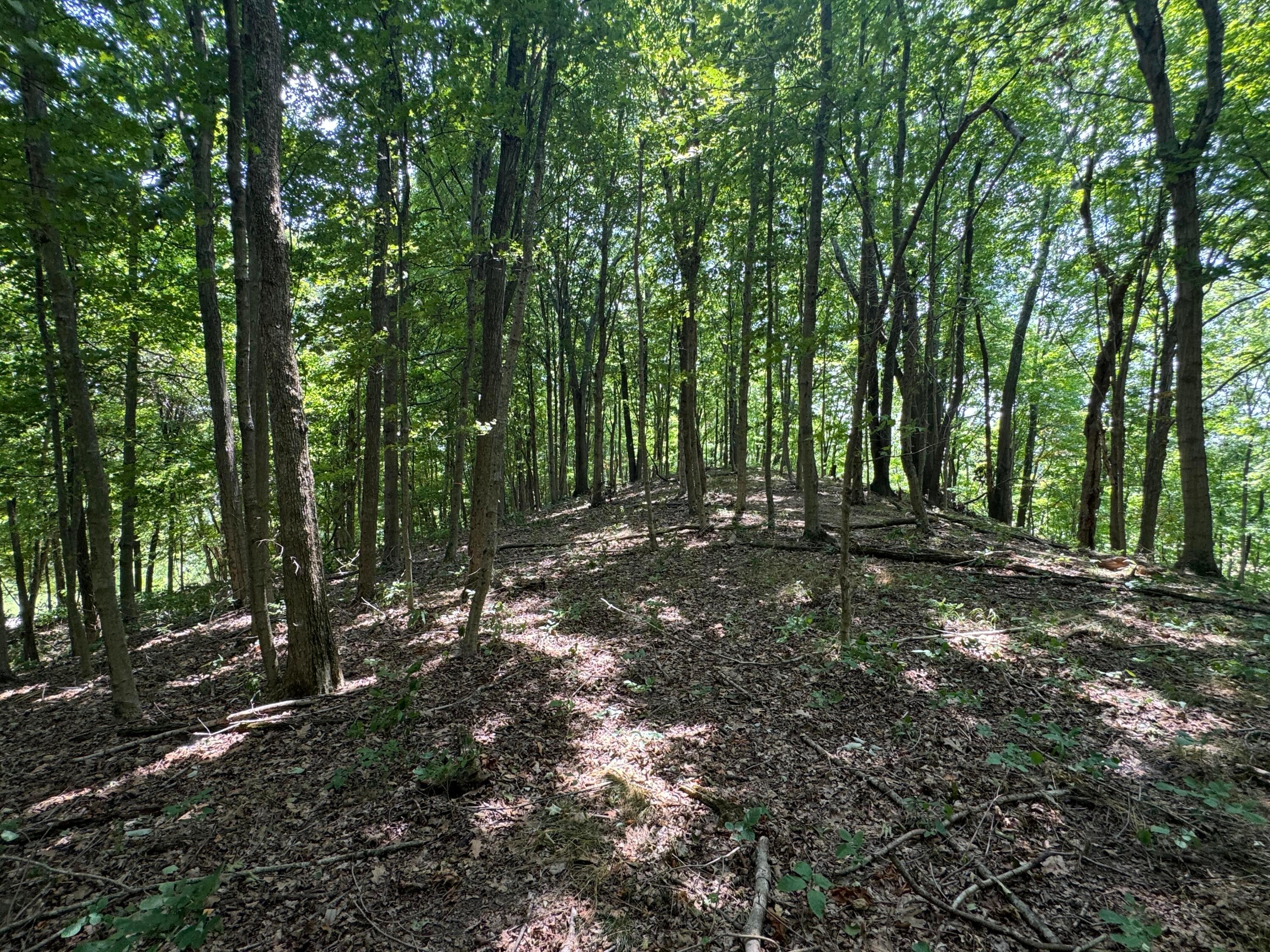 0 Sand Ridge Road, (tract 18 Albany Woods) Property Photo 16
