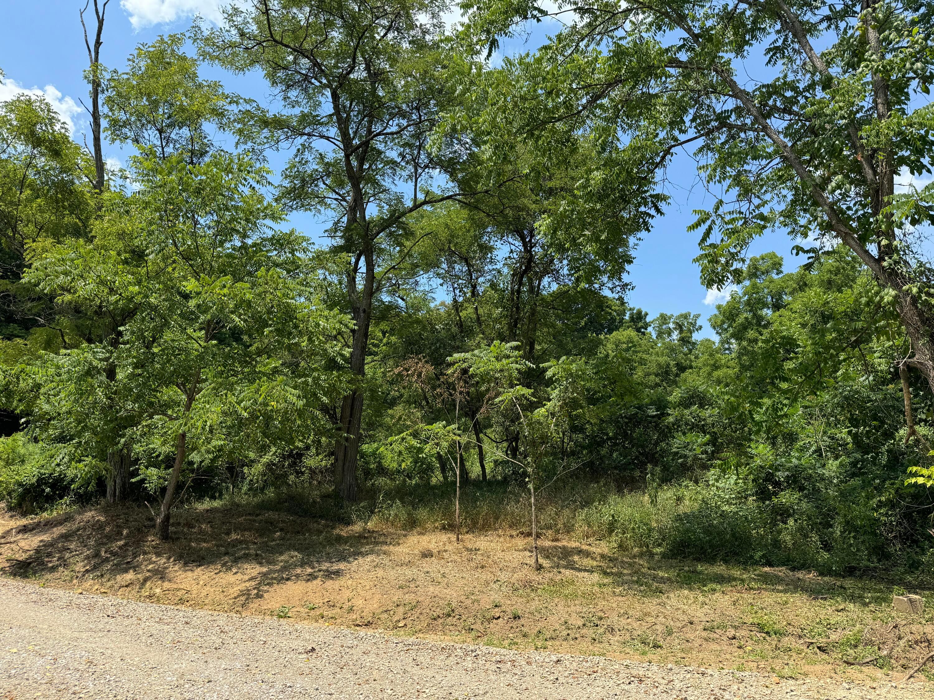 0 Sand Ridge Road, (tract 18 Albany Woods) Property Photo 25