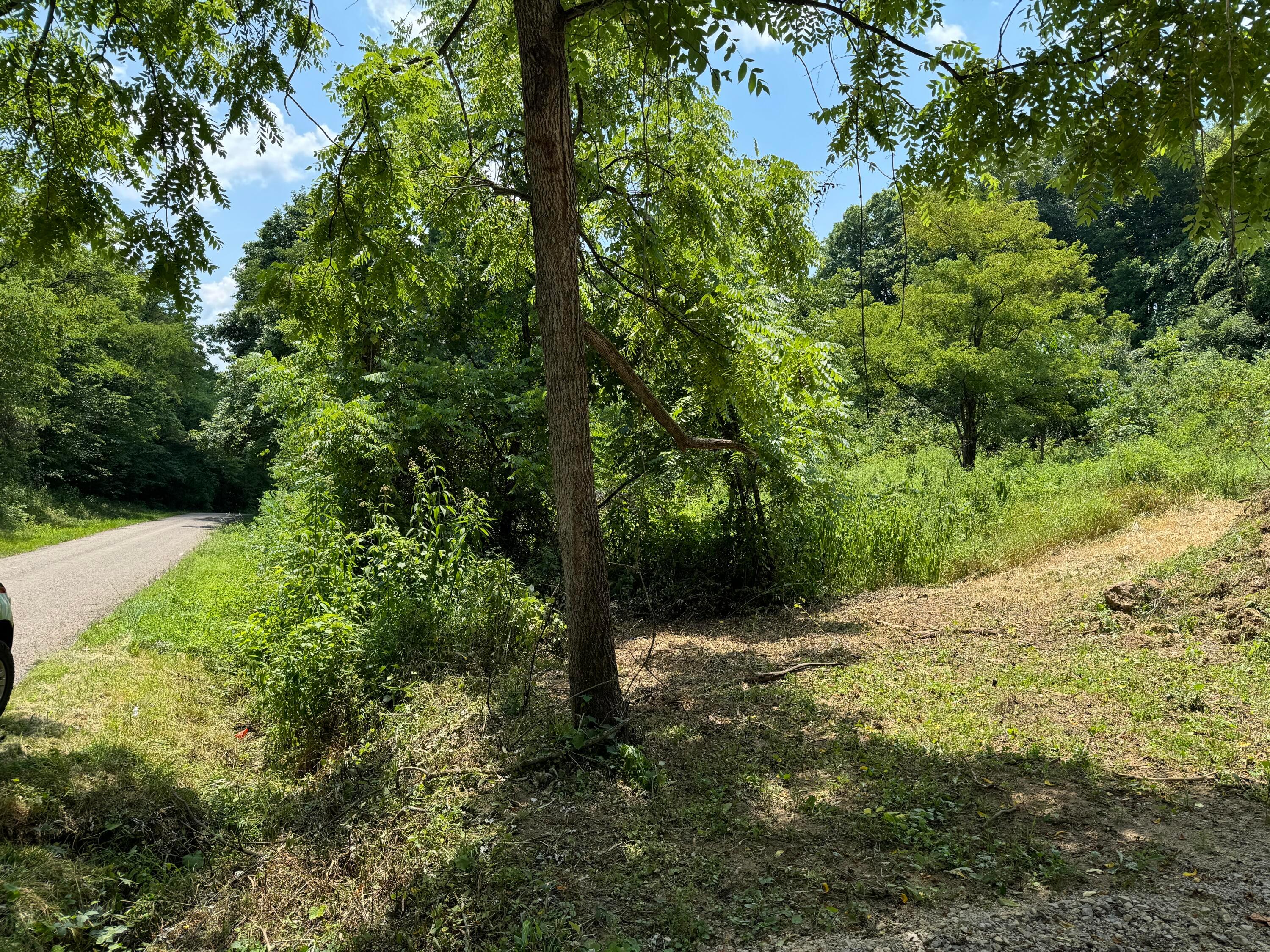 0 Sand Ridge Road, (tract 18 Albany Woods) Property Photo 26