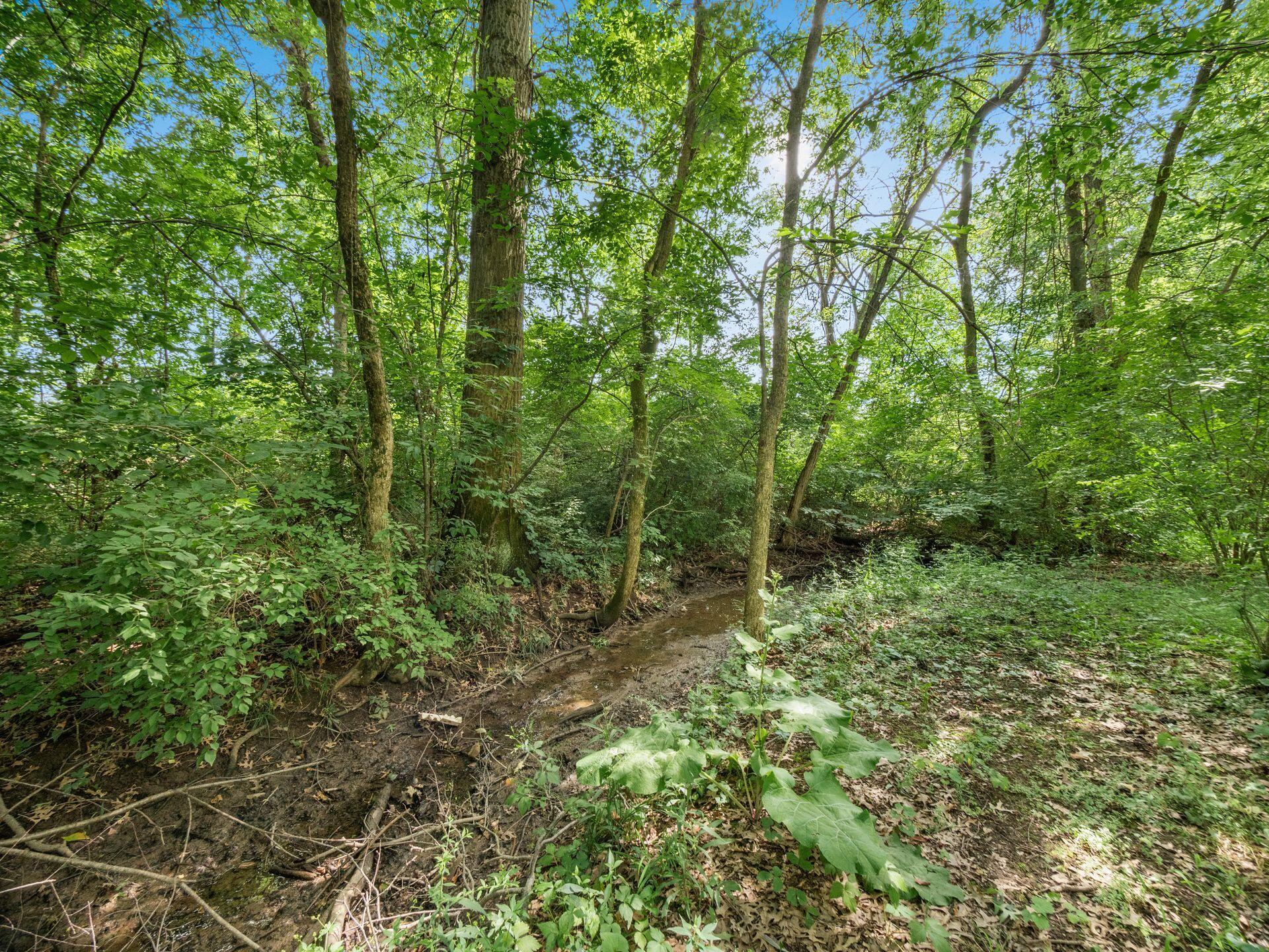 6611 Morse Road Property Photo 7