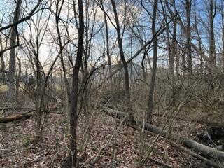 3711 Alkire Road Property Photo 3