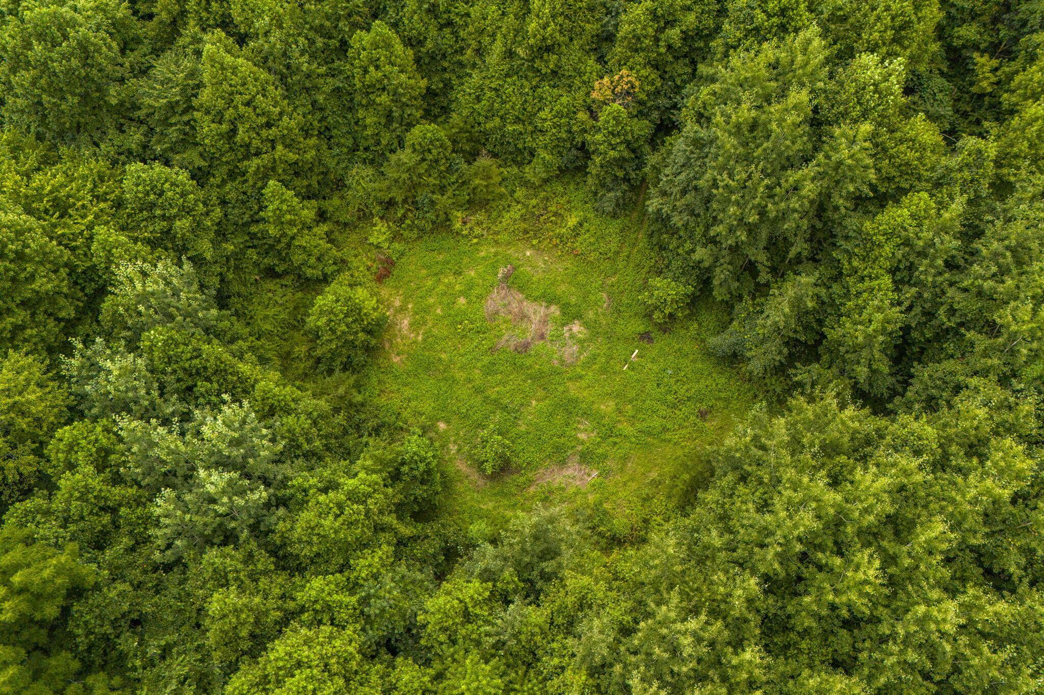 13207 Clapper Hollow Road Property Photo 40