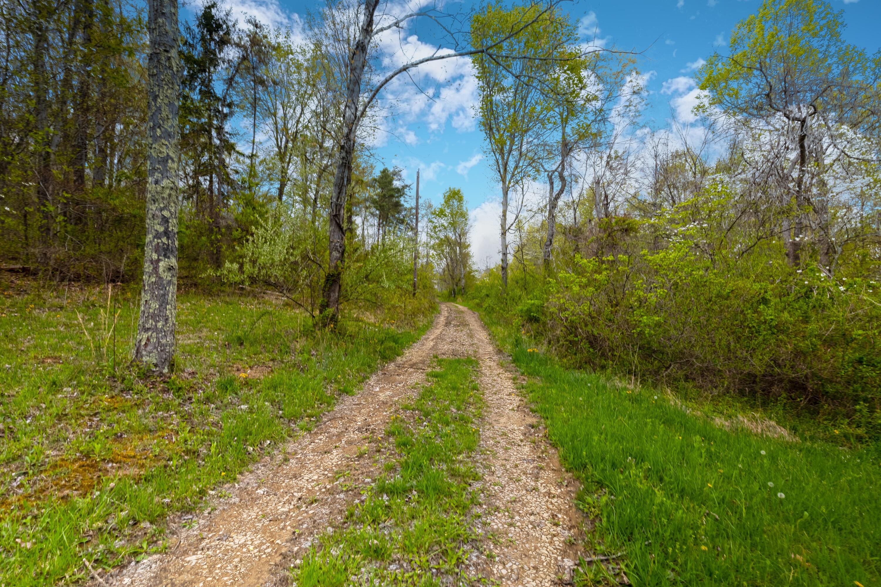 5400 Saunders Road Property Photo 12