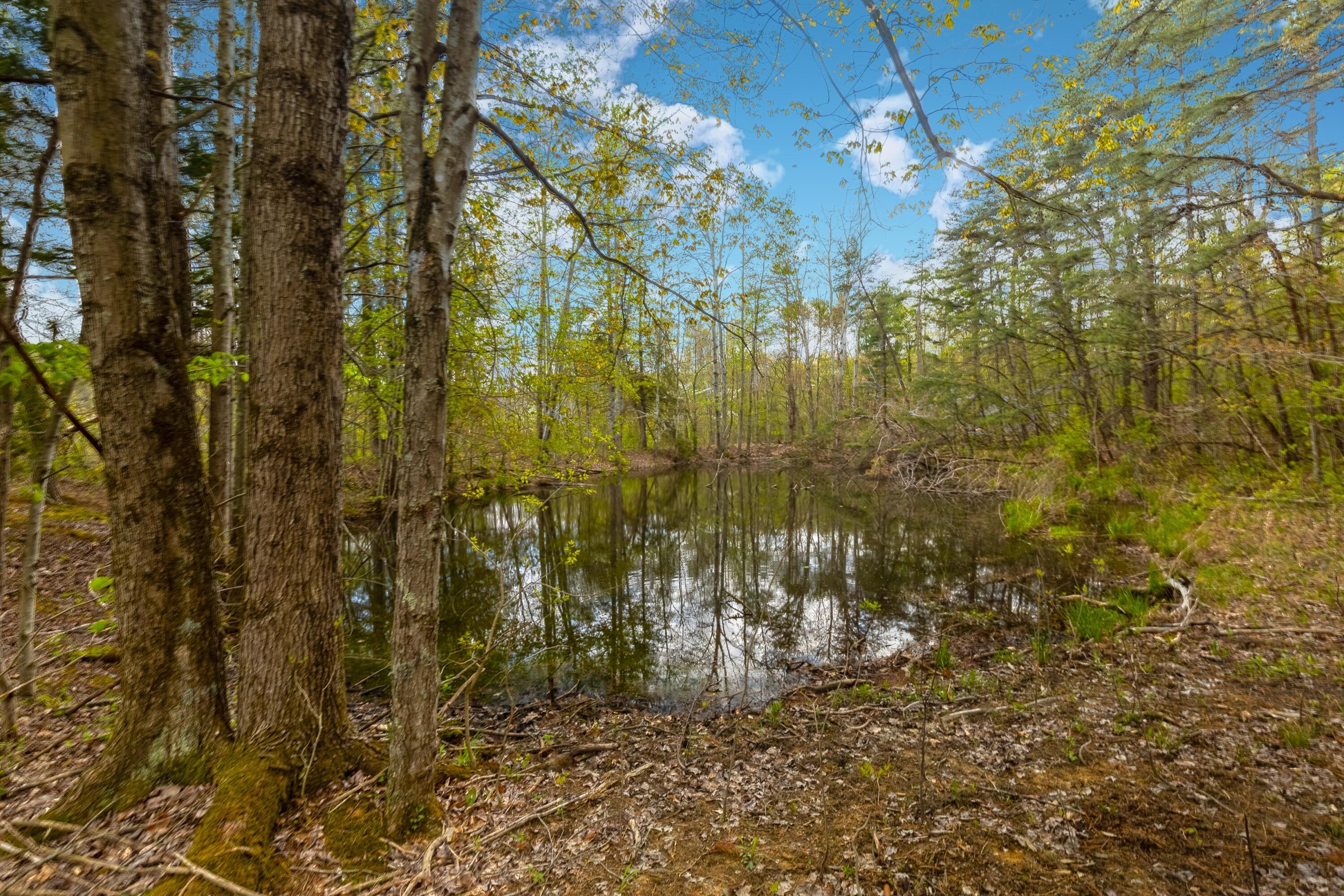 5400 Saunders Road Property Photo 19