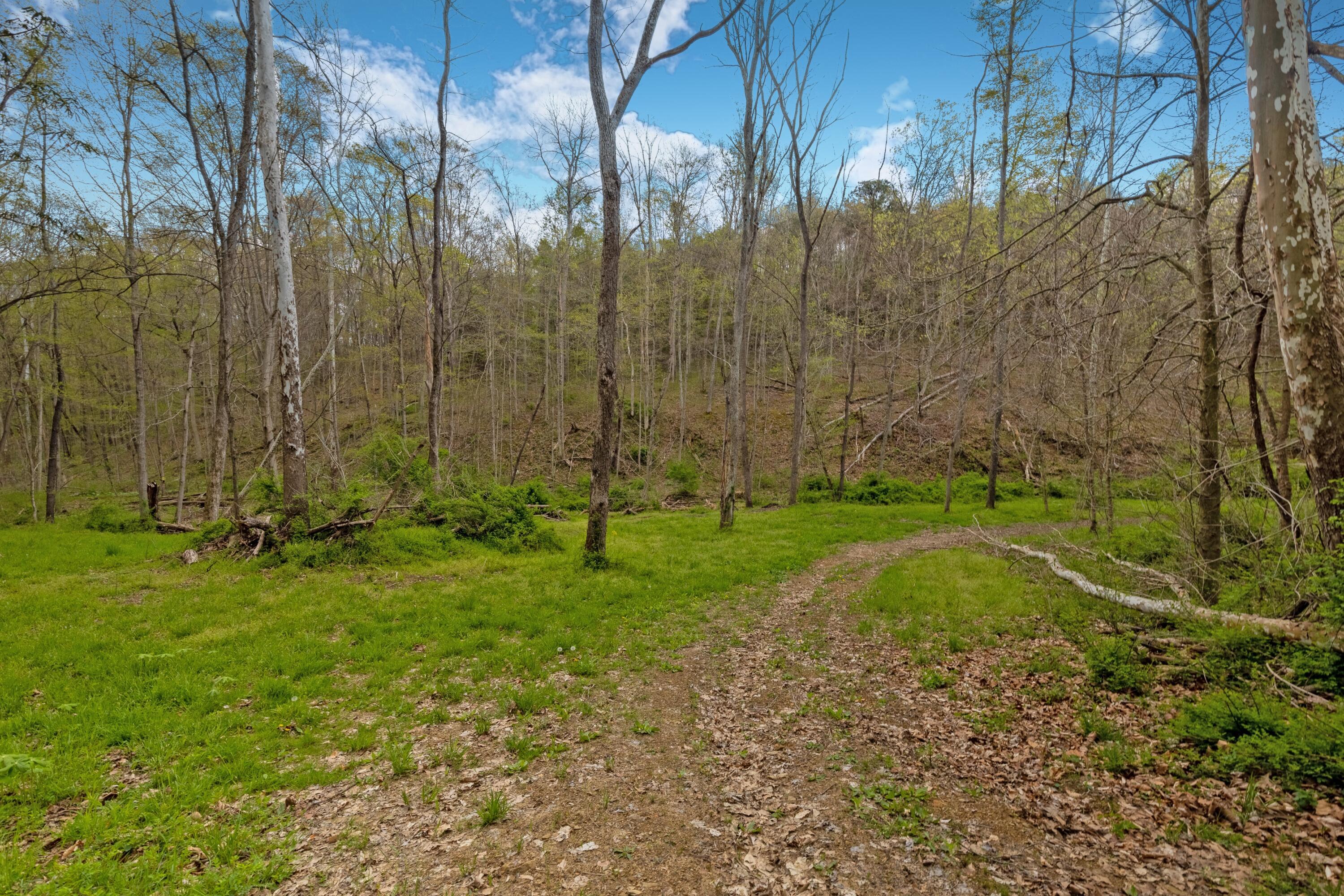 5400 Saunders Road Property Photo 21