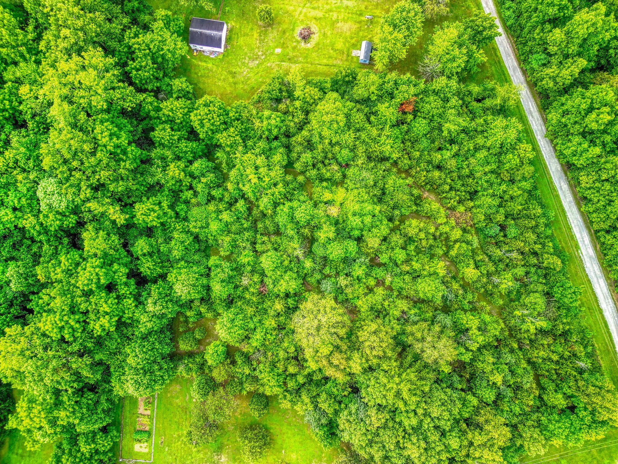 1036 State Route 247 Property Photo 11