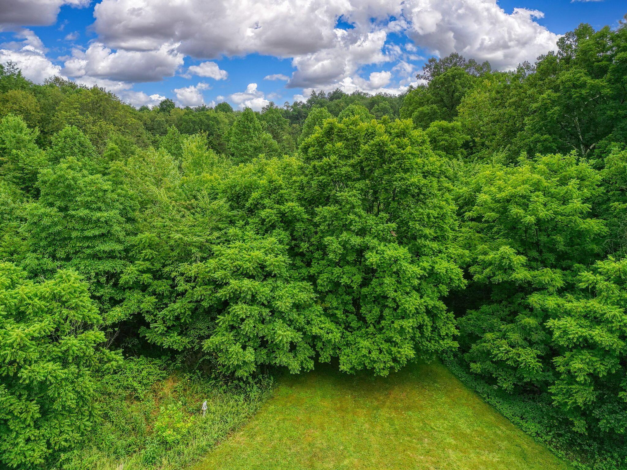 1036 State Route 247 Property Photo 35