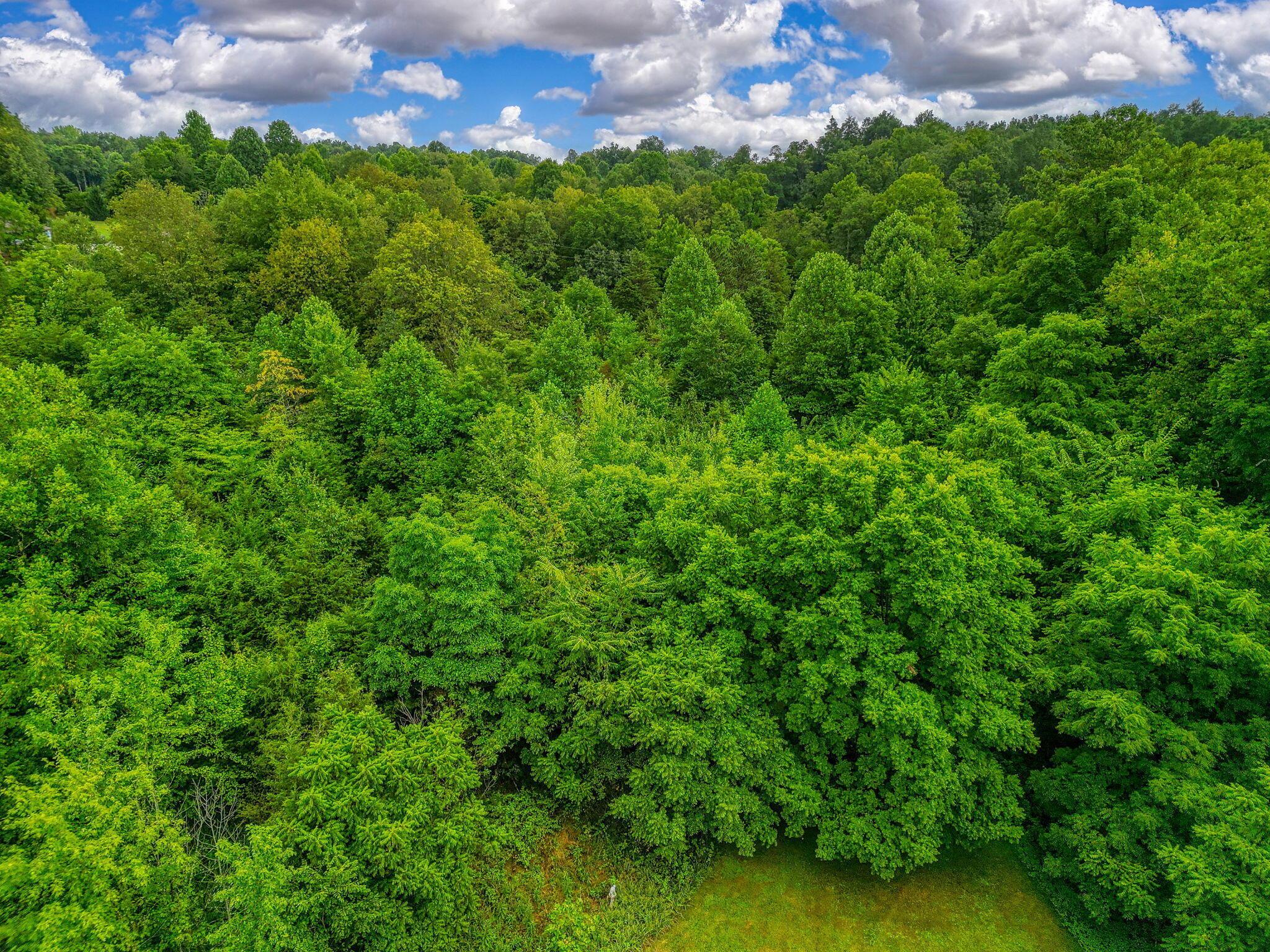 1036 State Route 247 Property Photo 36