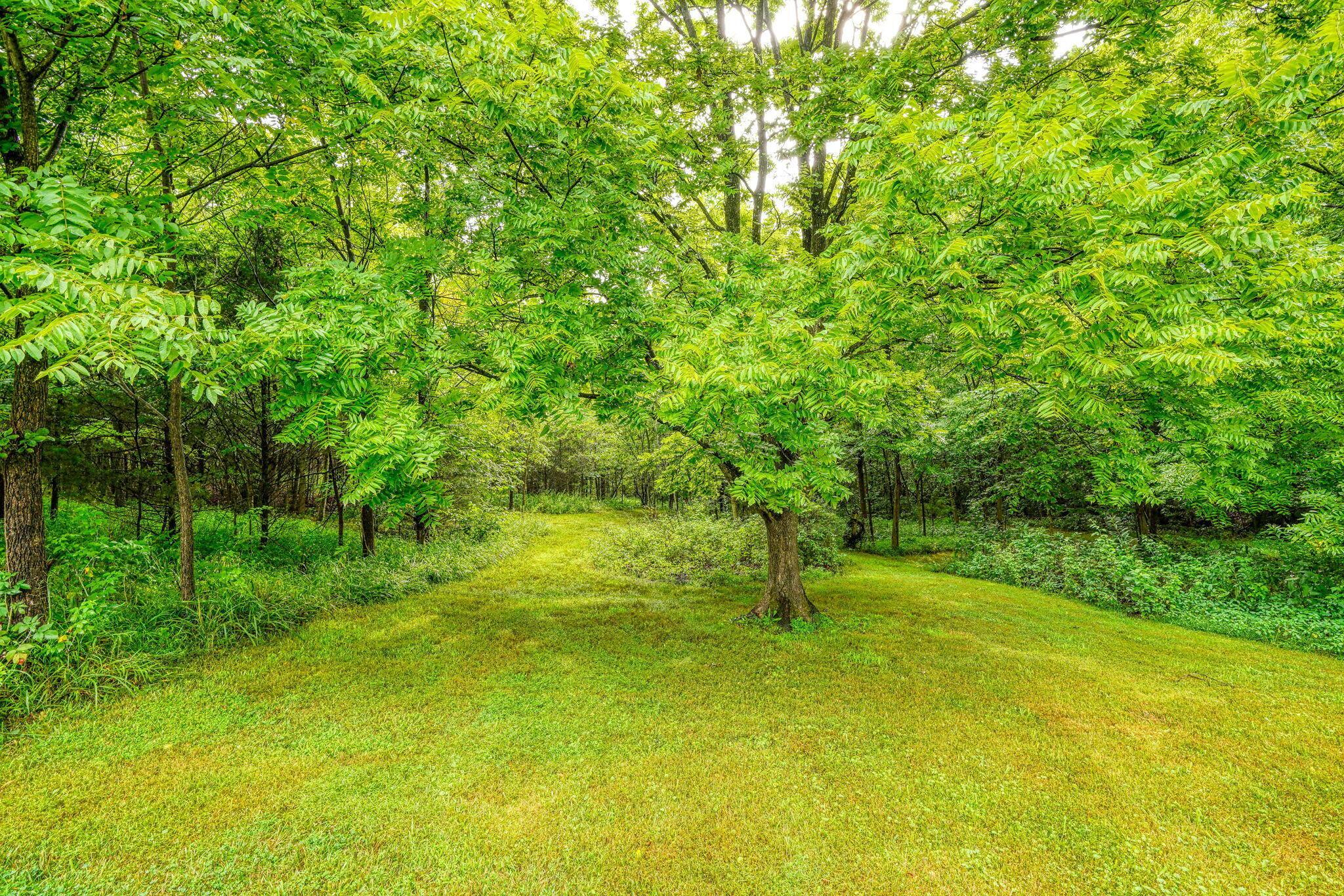 1036 State Route 247 Property Photo 37