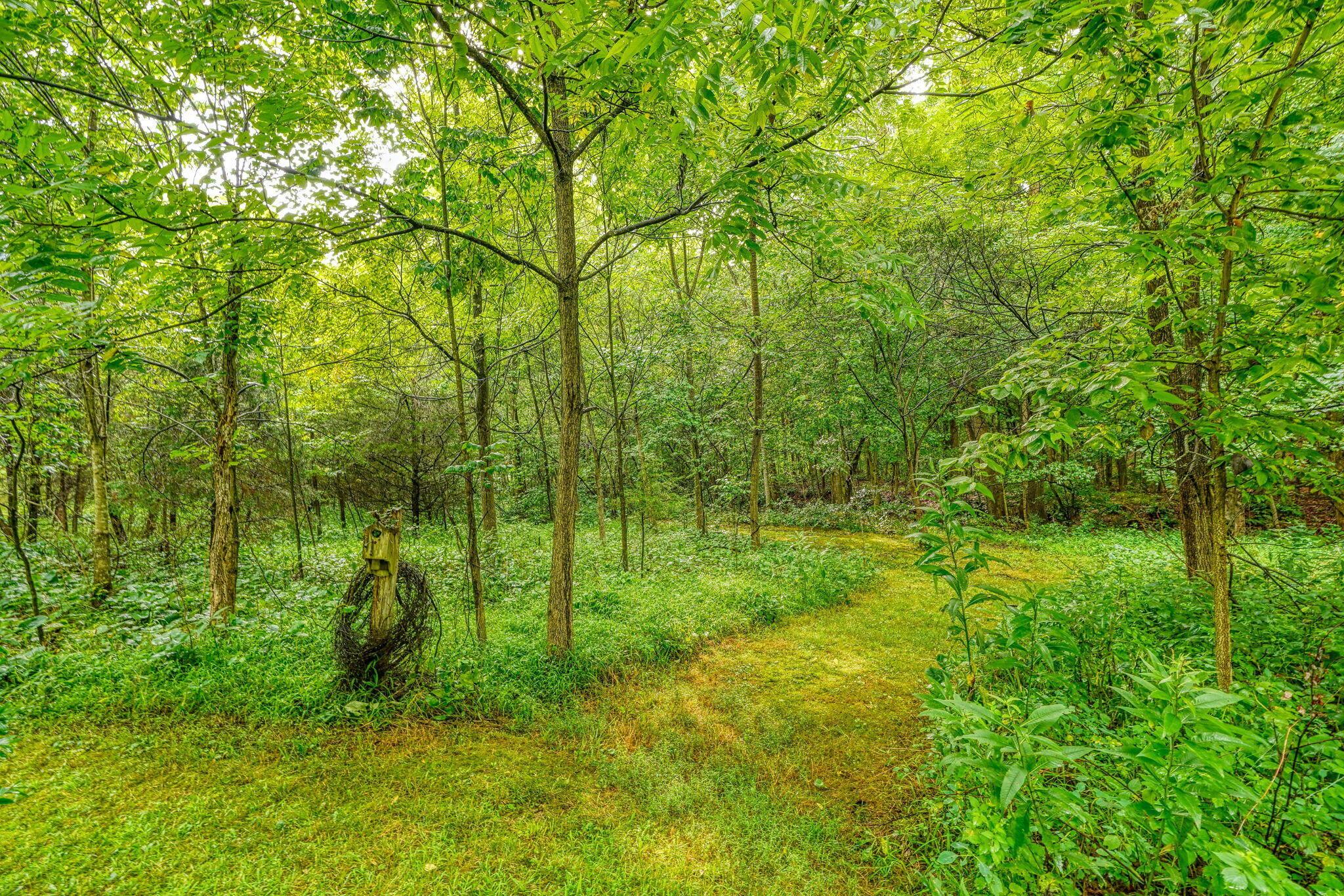 1036 State Route 247 Property Photo 38