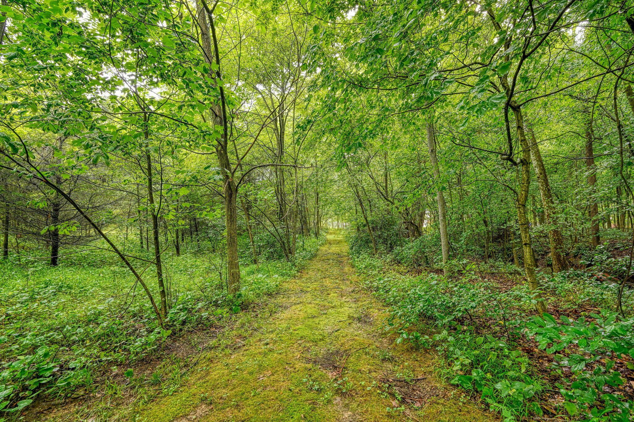1036 State Route 247 Property Photo 39
