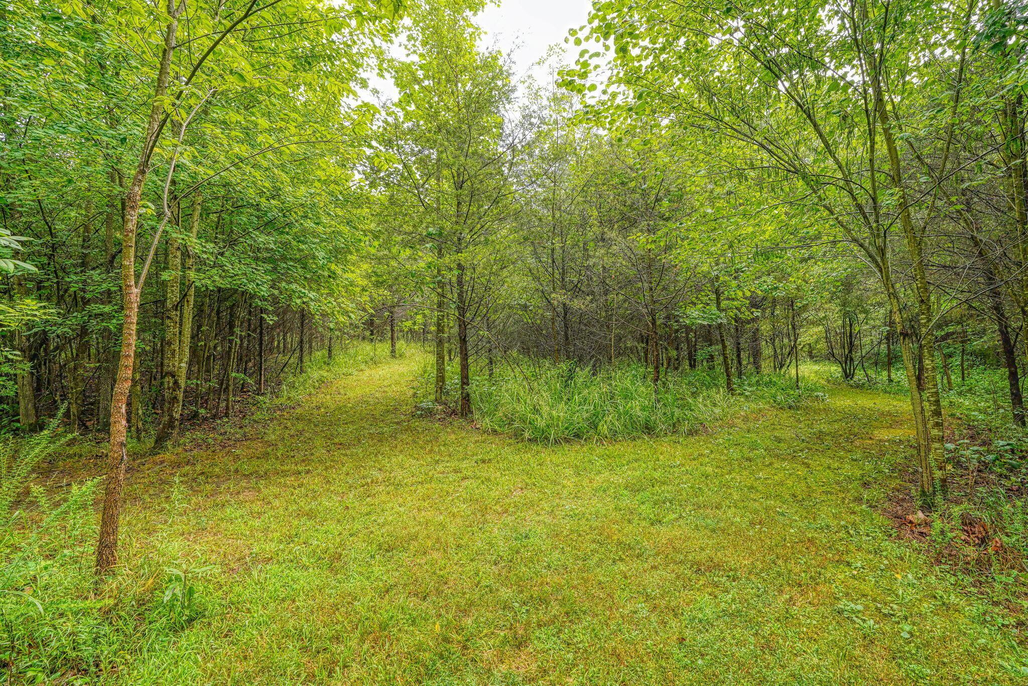 1036 State Route 247 Property Photo 40