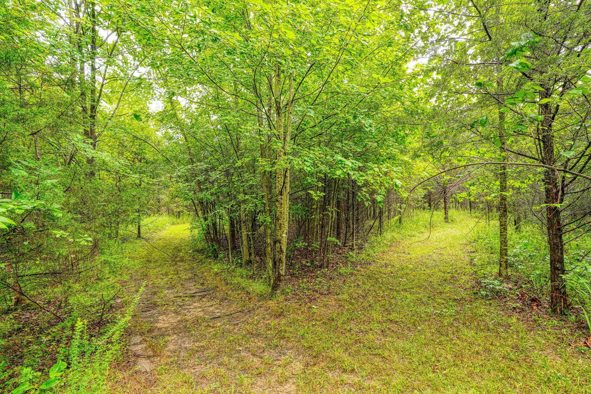 1036 State Route 247 Property Photo 41