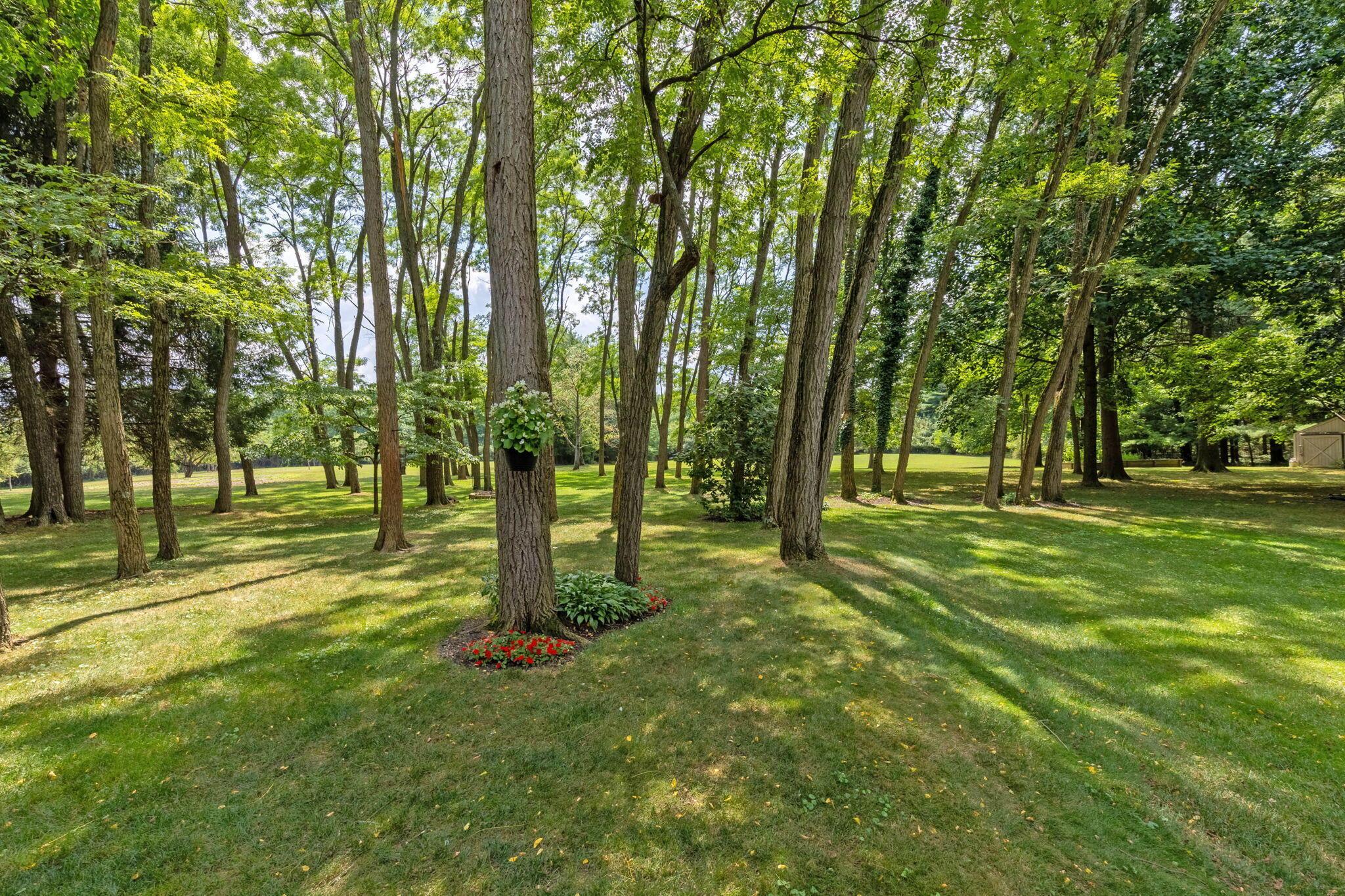 6837 E Walnut Street Property Photo 11
