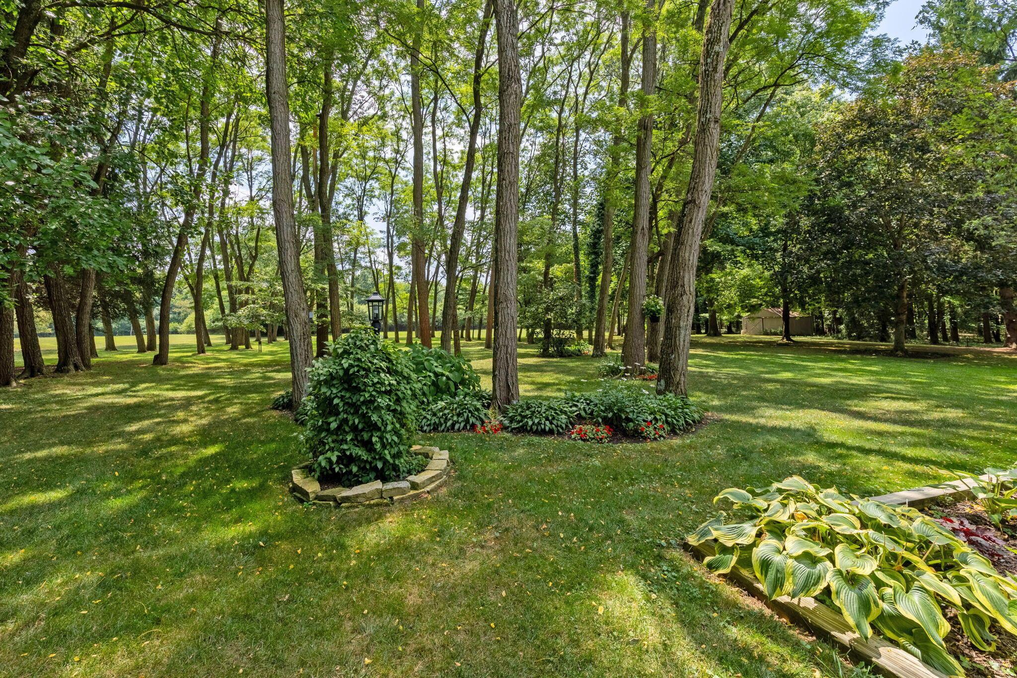 6837 E Walnut Street Property Photo 17