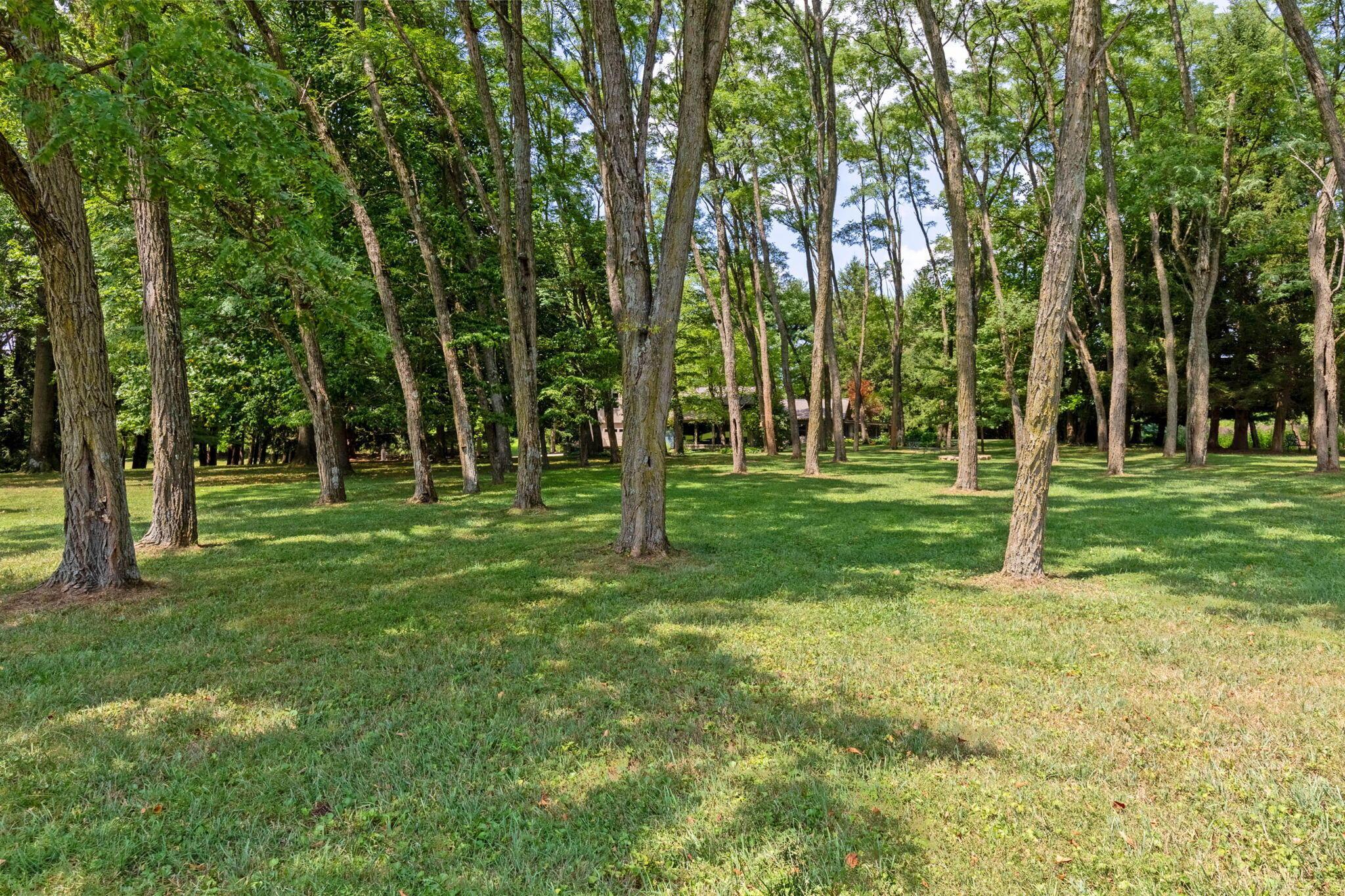 6837 E Walnut Street Property Photo 56