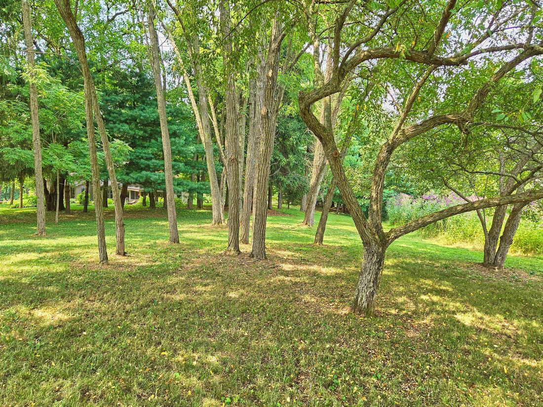 0 E Walnut Street Property Photo 18