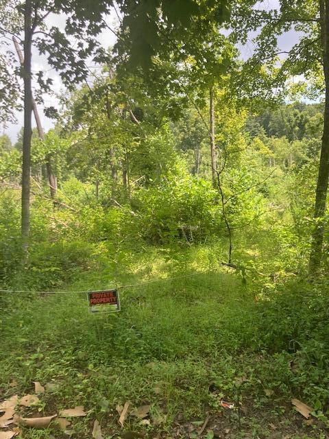 0 E Fork Road Property Photo 1