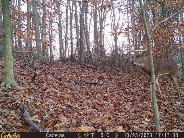 0 E Fork Road Property Photo 4