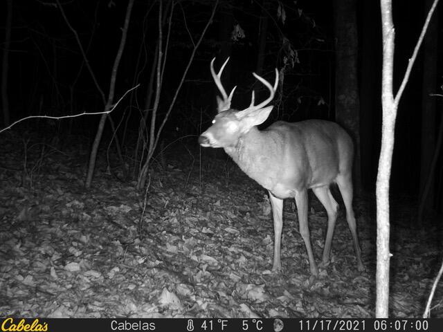 0 E Fork Road Property Photo 5