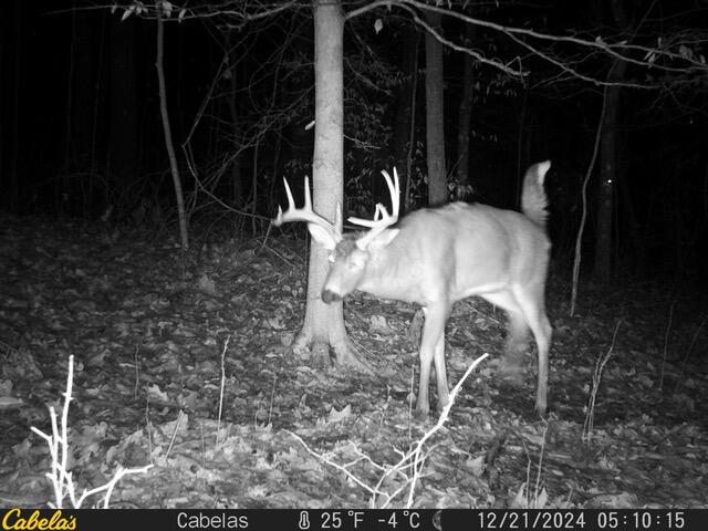 0 E Fork Road Property Photo 10