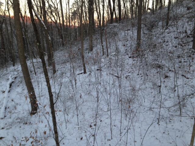 0 E Fork Road Property Photo 12