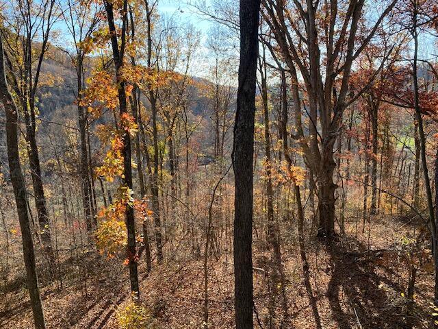 0 E Fork Road Property Photo 14