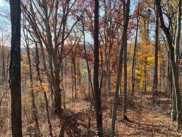 0 E Fork Road Property Photo 15