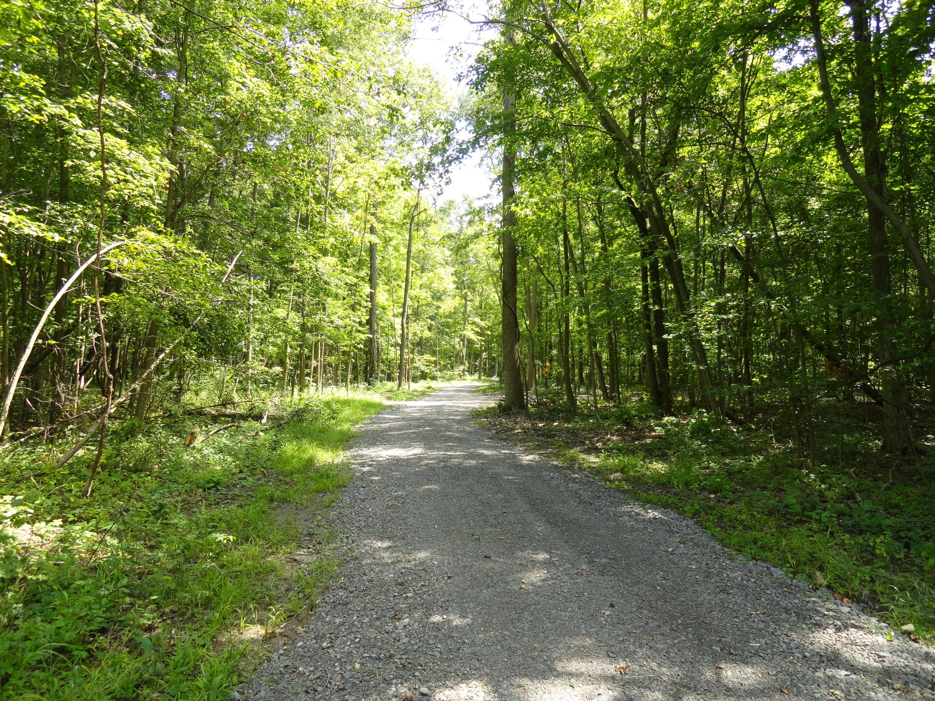 9960 Township Road 138 Property Photo 21