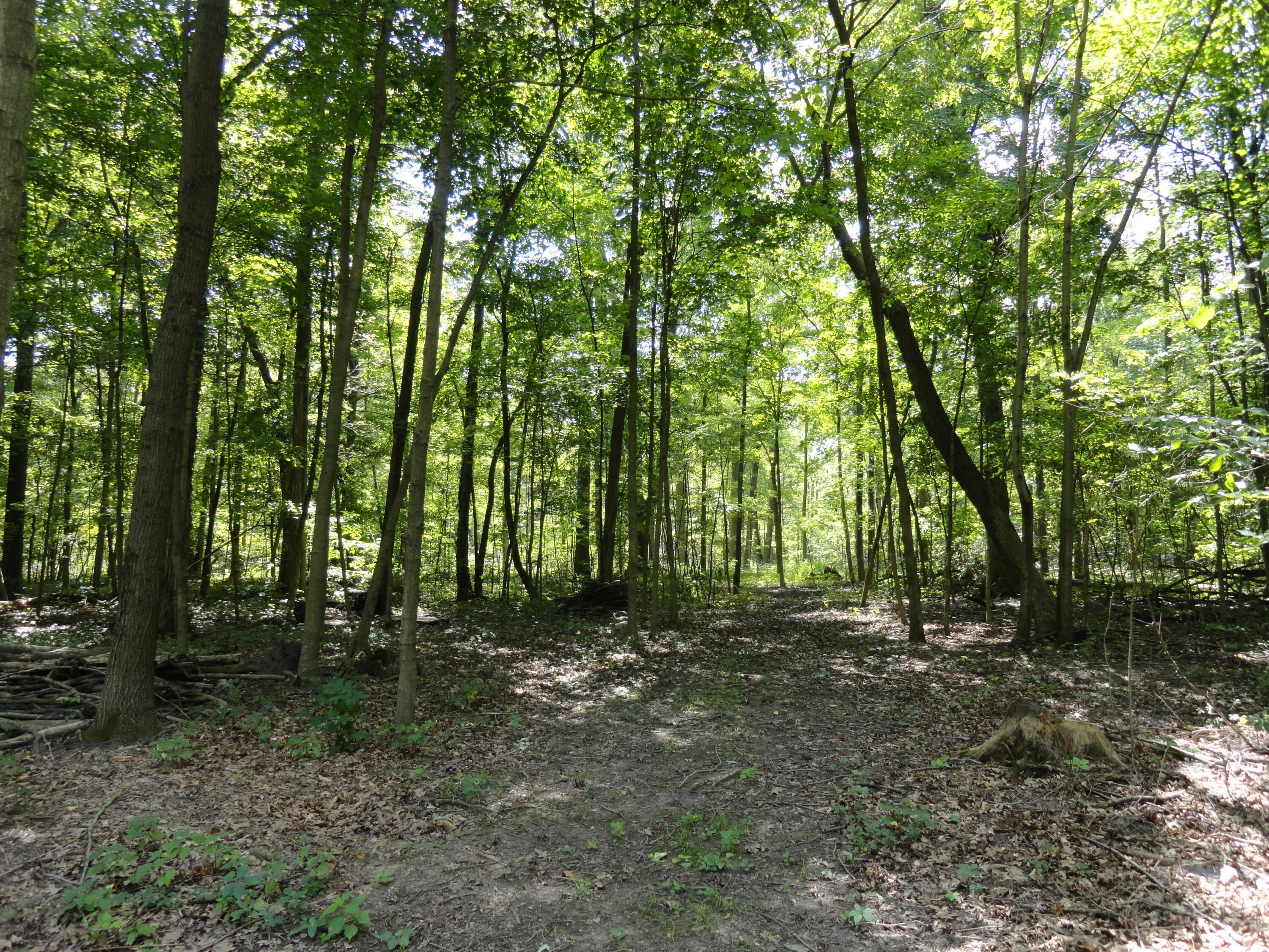 9960 Township Road 138 Property Photo 23