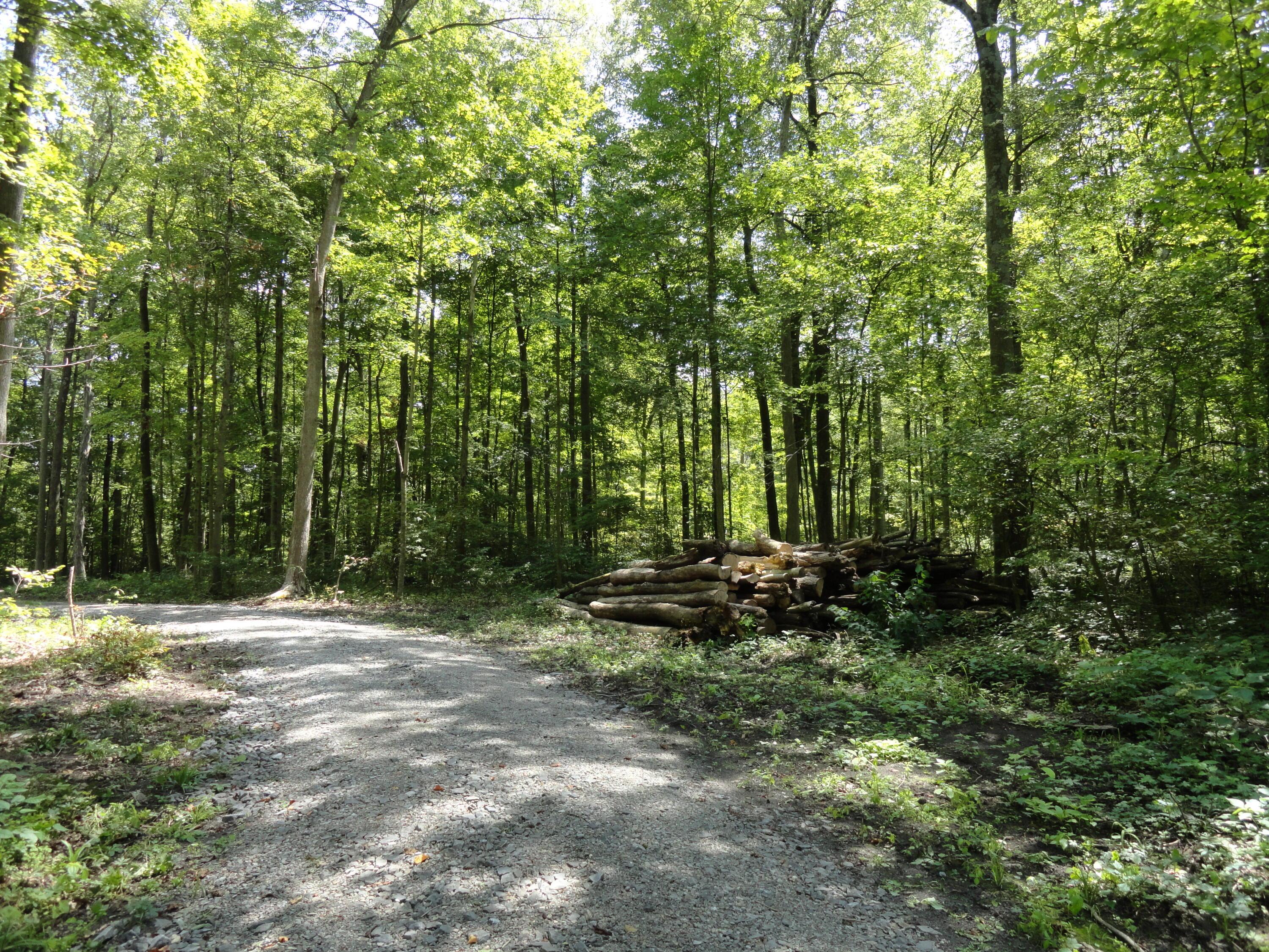 9960 Township Road 138 Property Photo 24