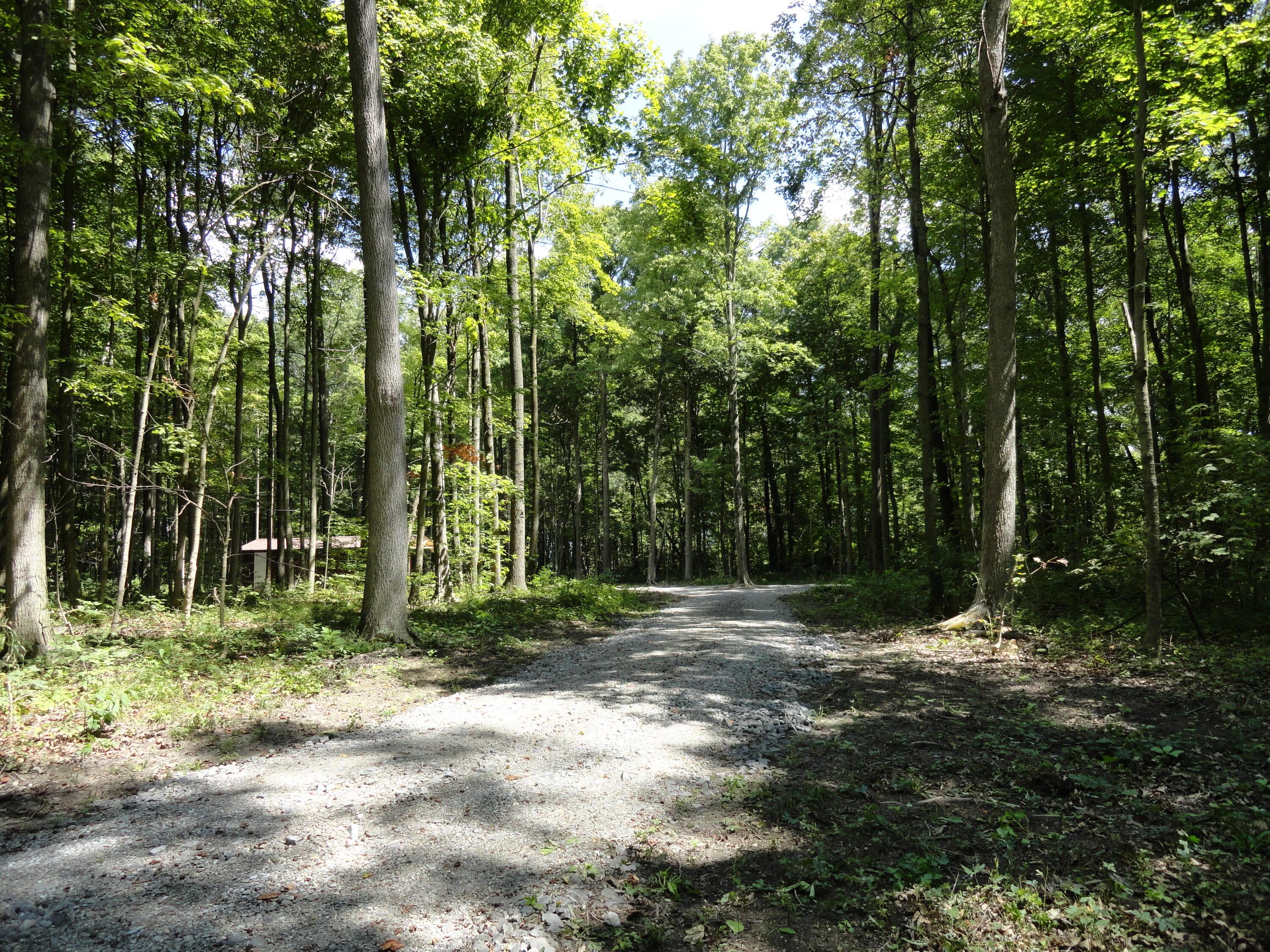 9960 Township Road 138 Property Photo 25