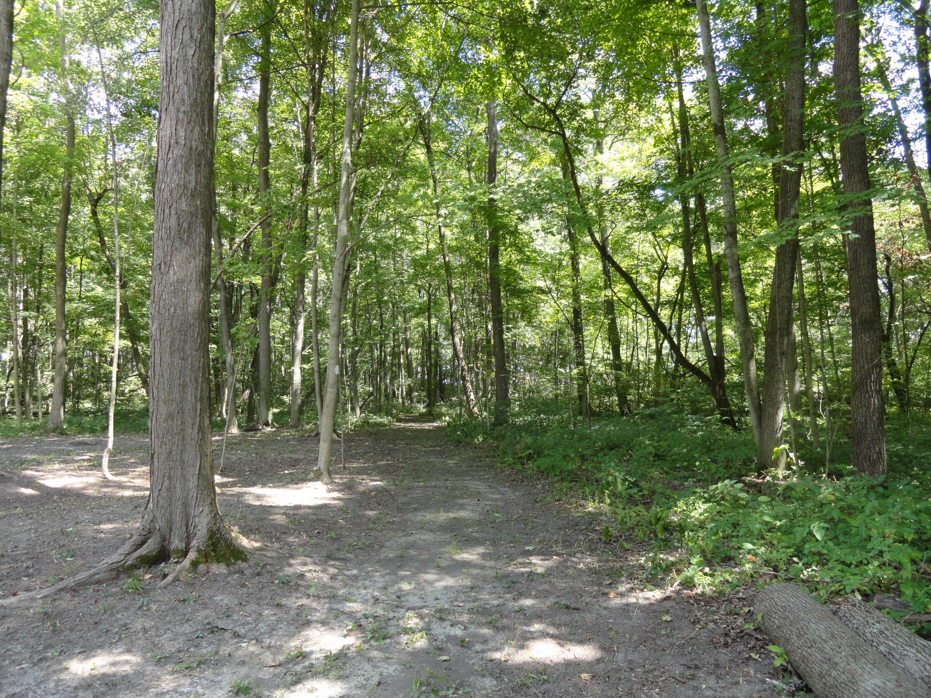 9960 Township Road 138 Property Photo 27