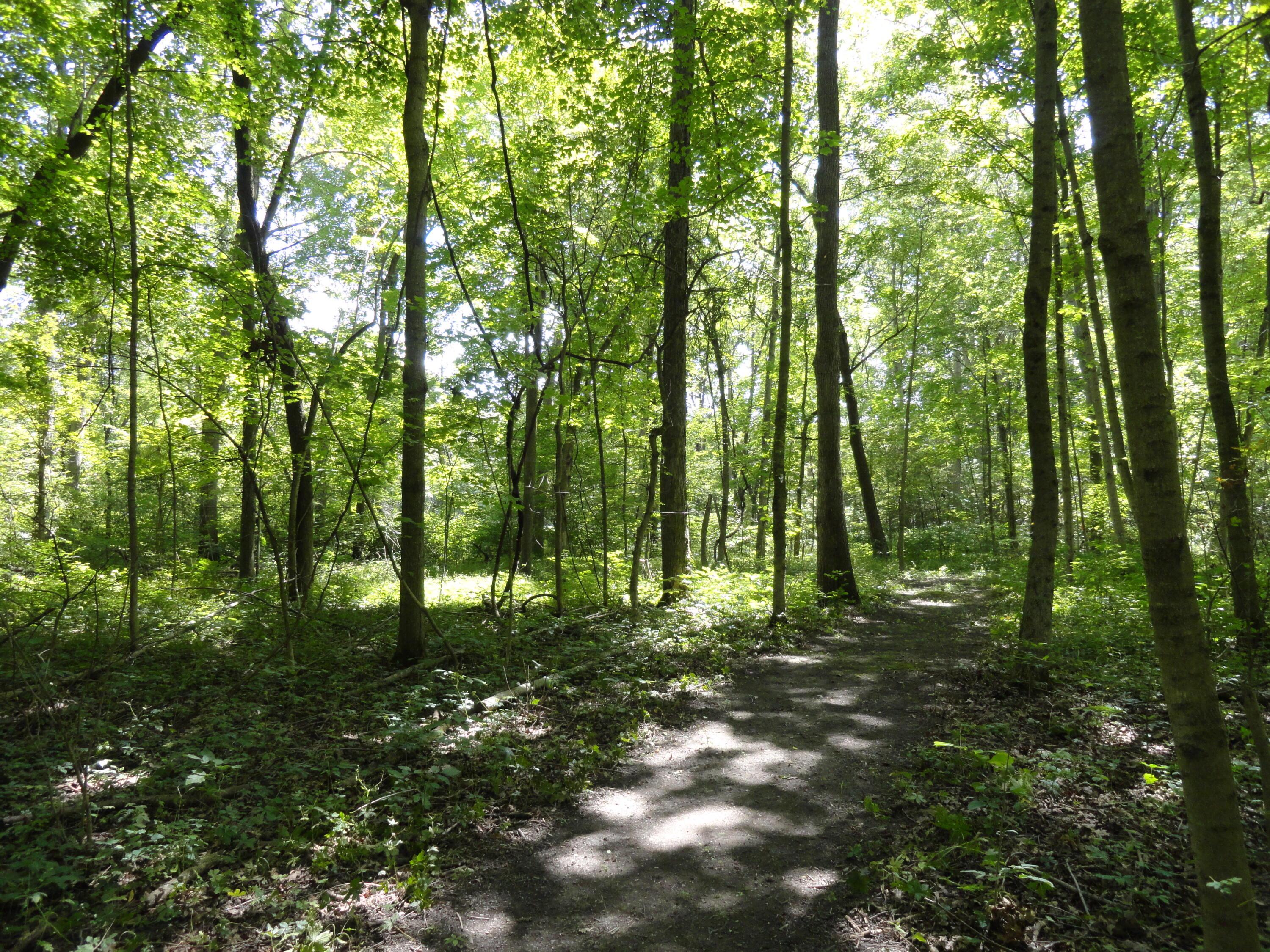9960 Township Road 138 Property Photo 31