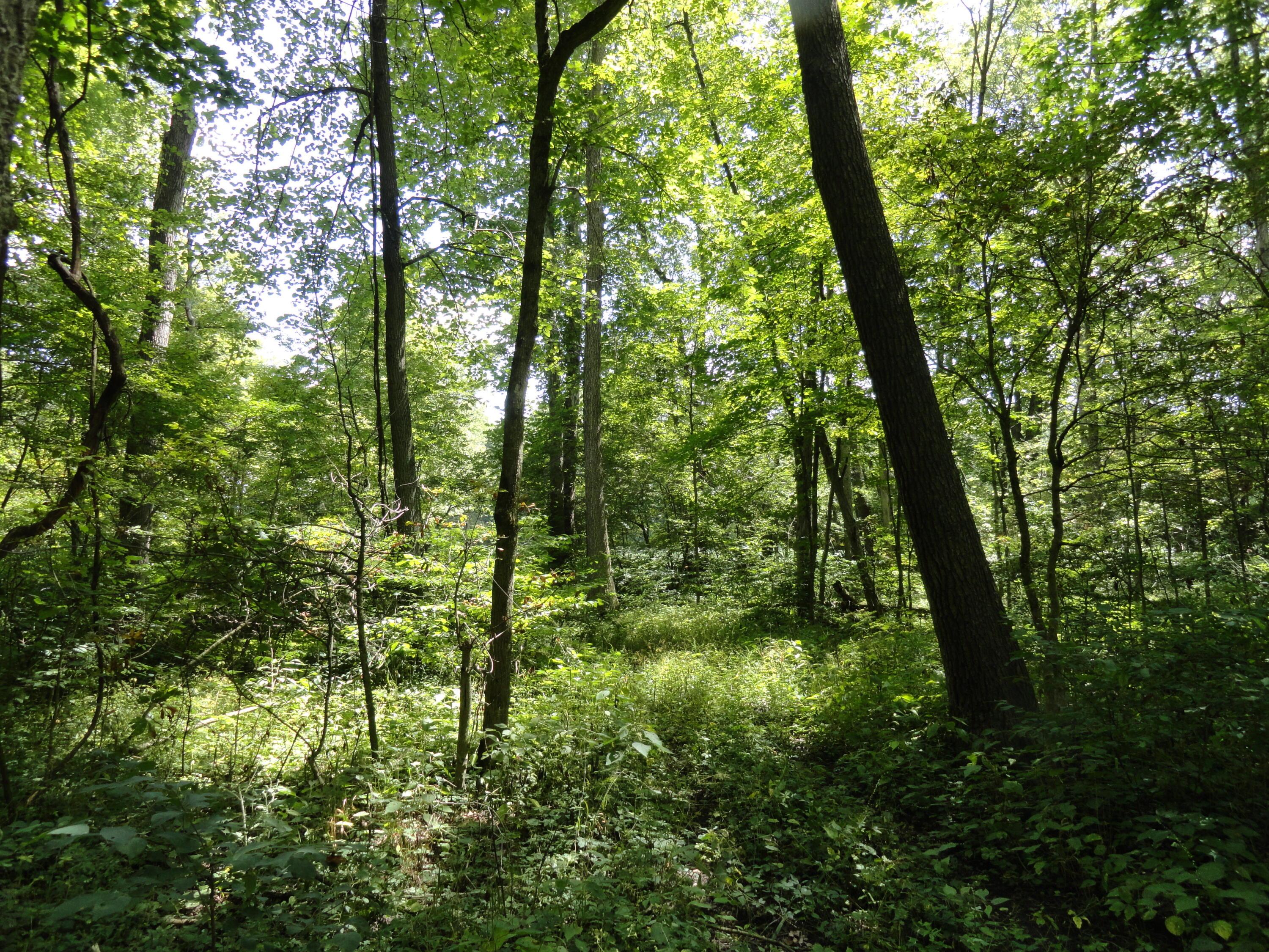 9960 Township Road 138 Property Photo 33