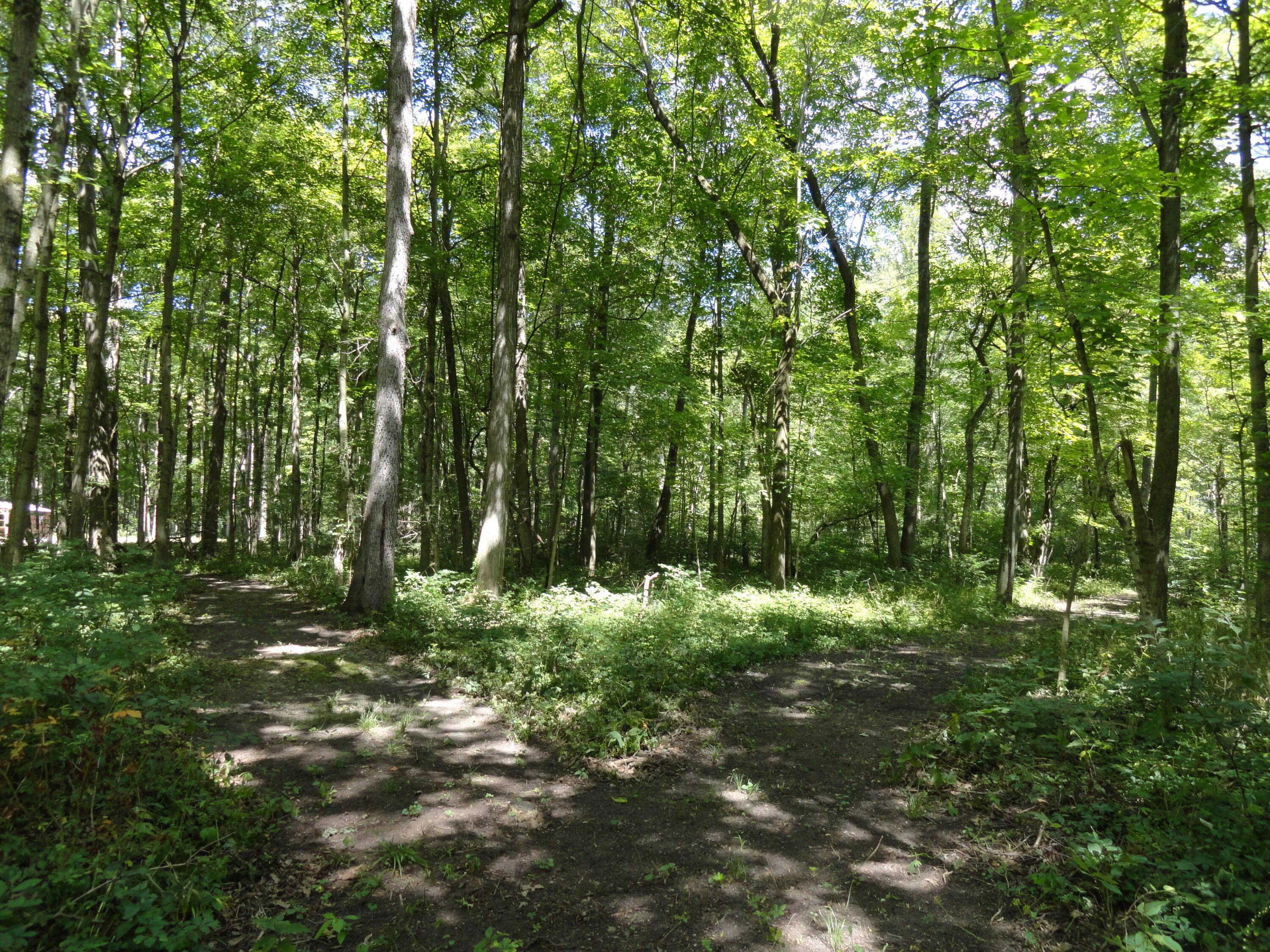 9960 Township Road 138 Property Photo 34
