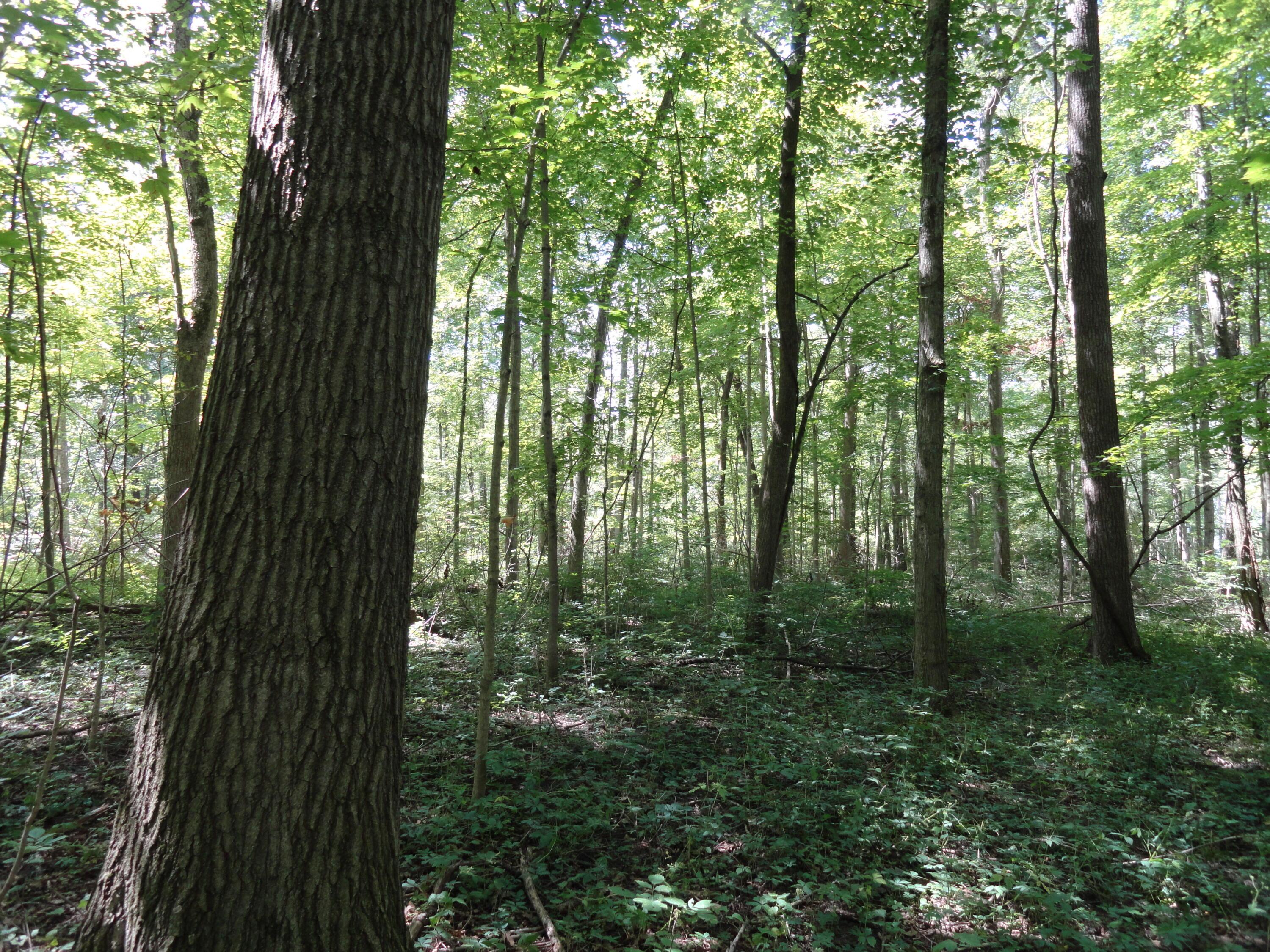 9960 Township Road 138 Property Photo 35