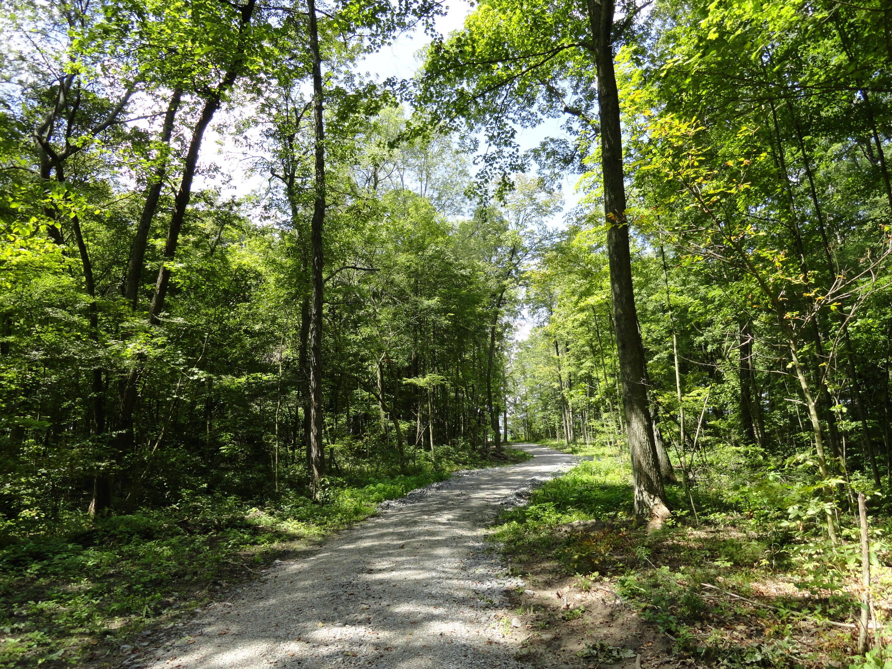 9960 Township Road 138 Property Photo 41