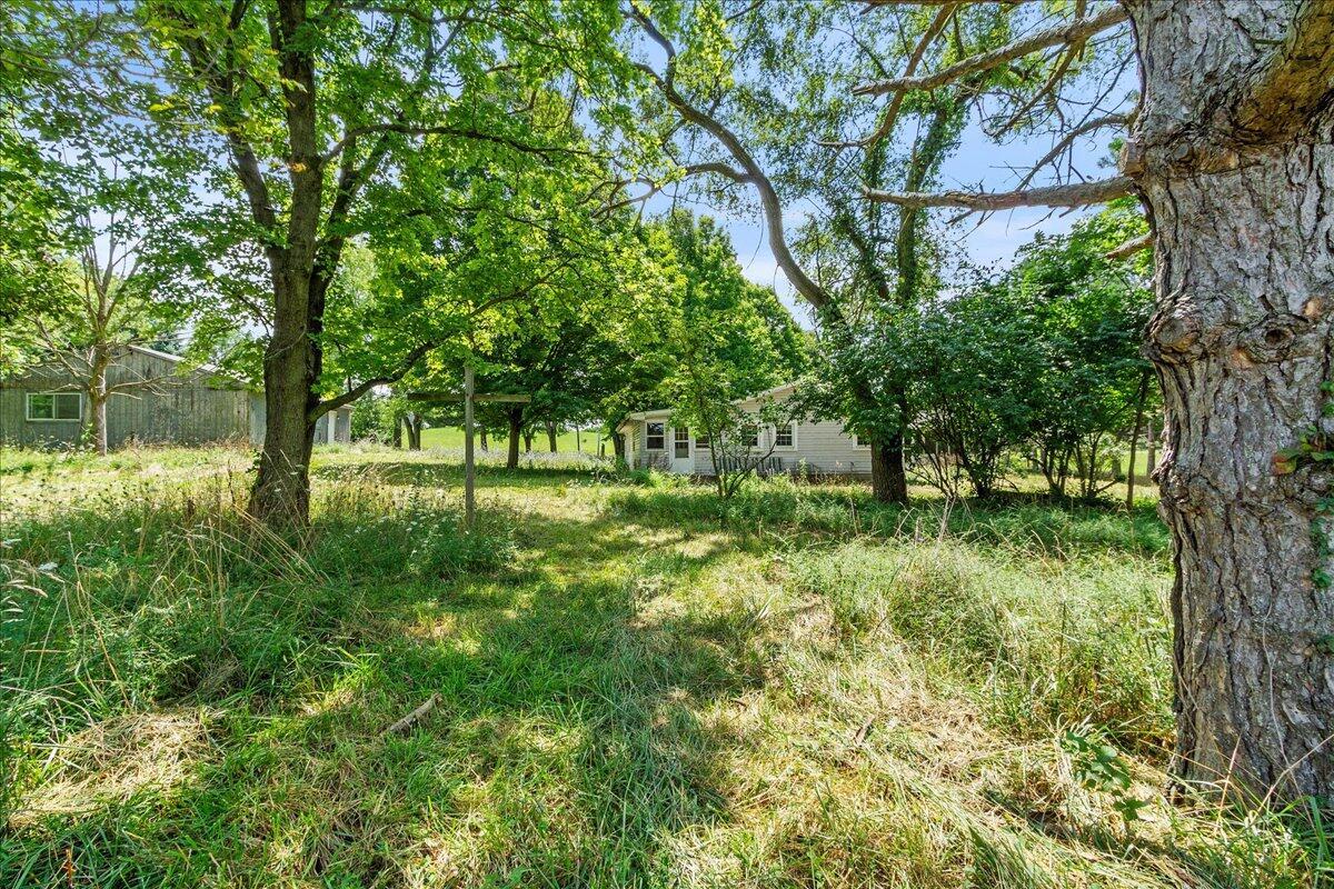 7888 Mingo Lewisburg Road Property Photo 21